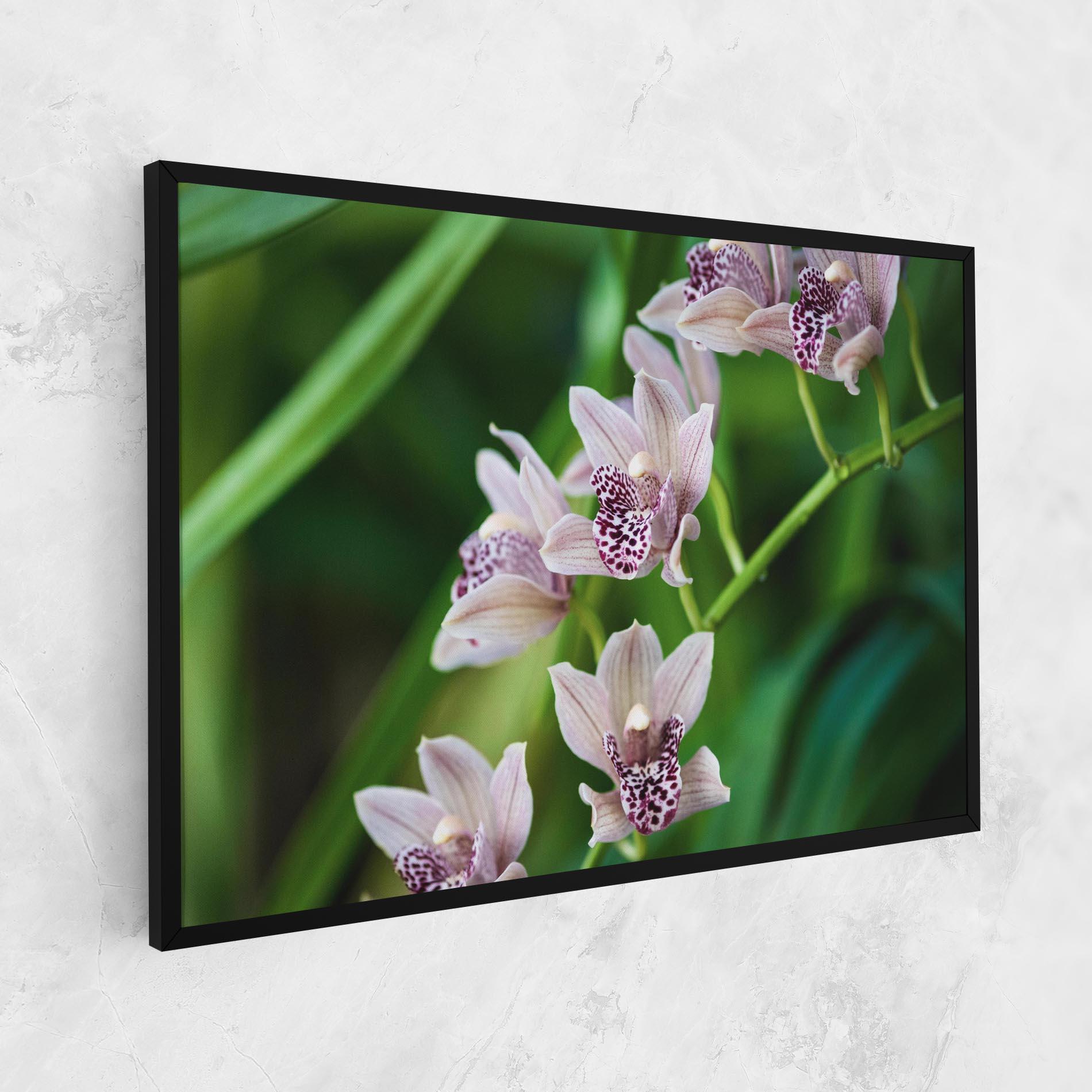 Leinwandbild Cymbidium Orchid mockup 1