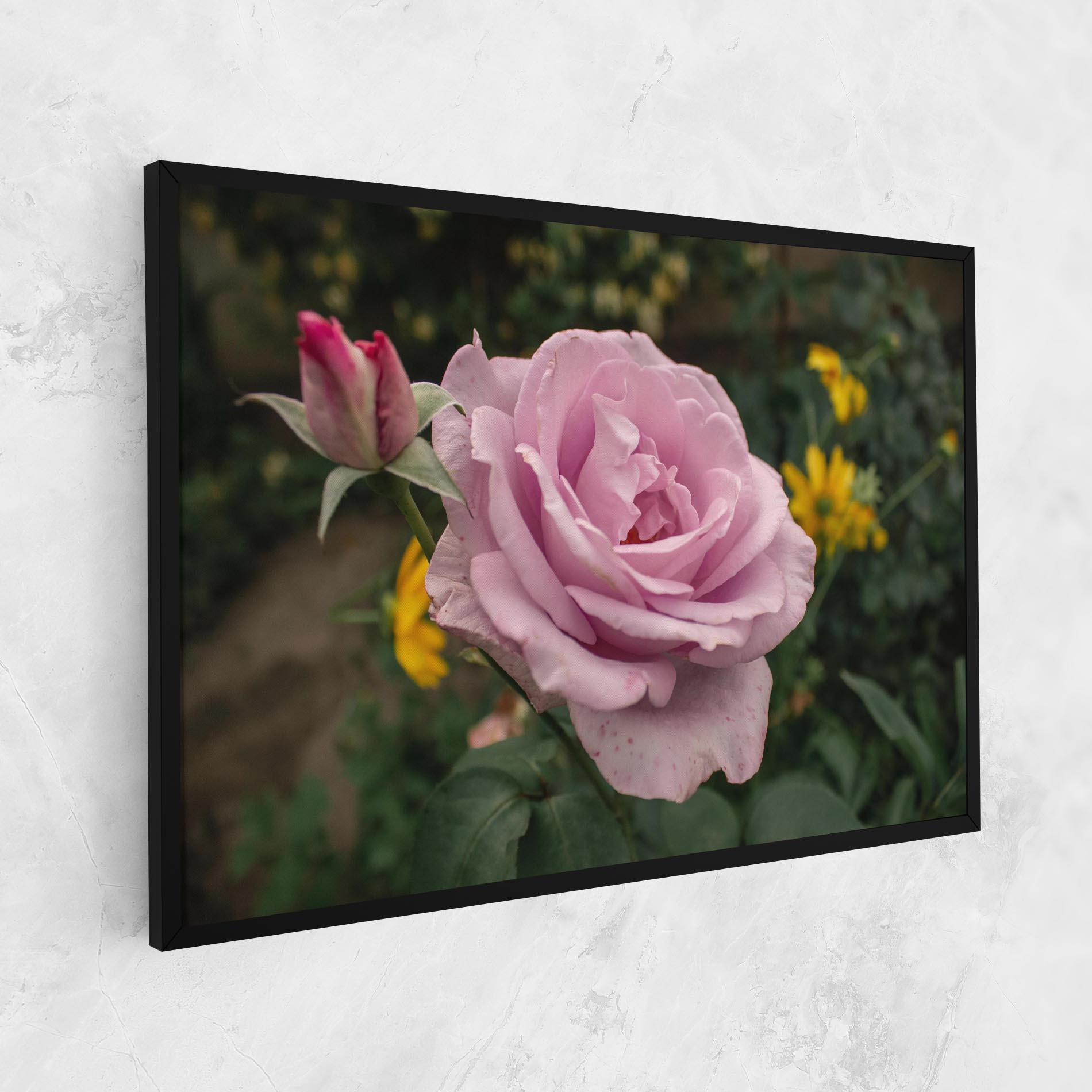 Leinwandbild Garden Pink Rose mockup 1