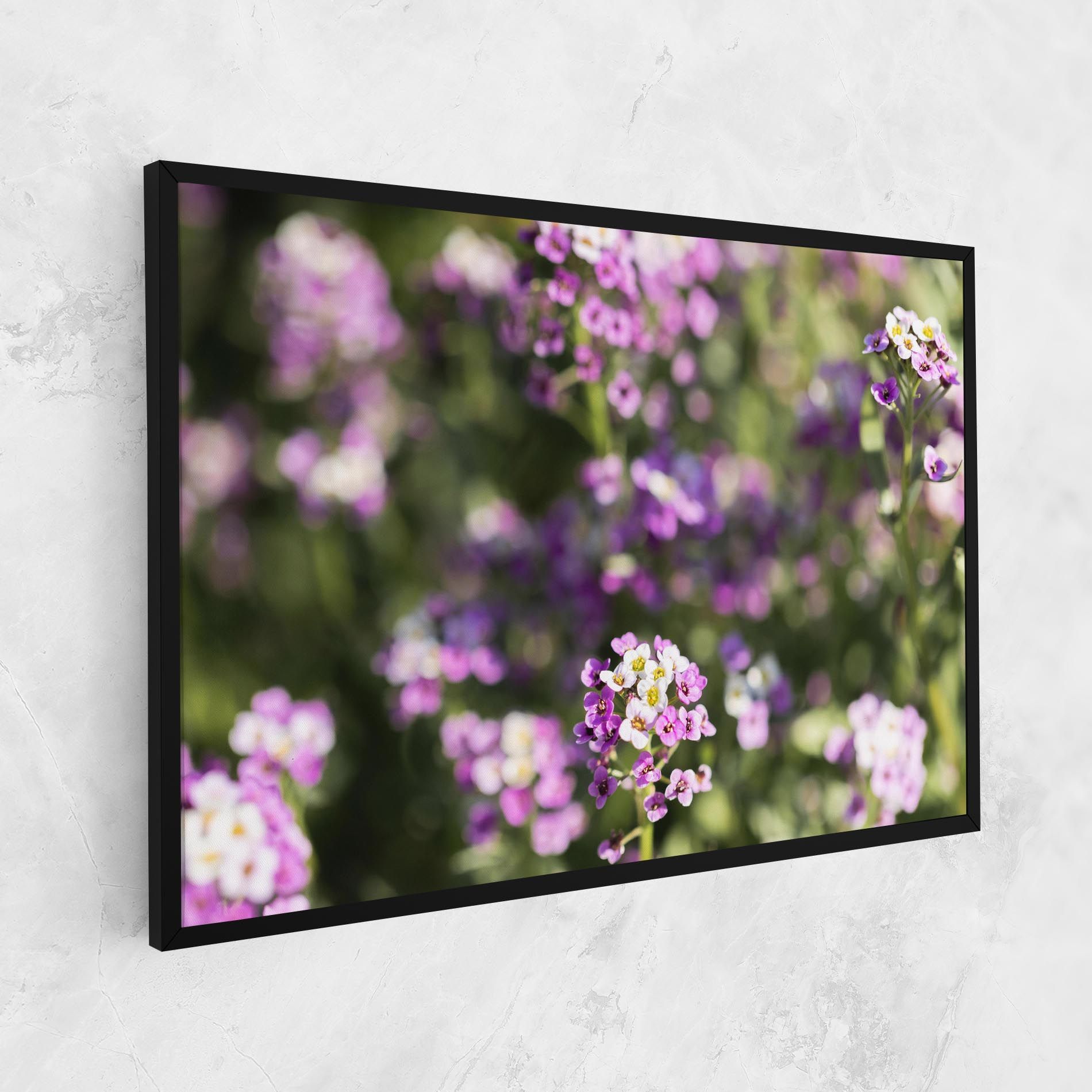 Wild Purple Field mockup 1