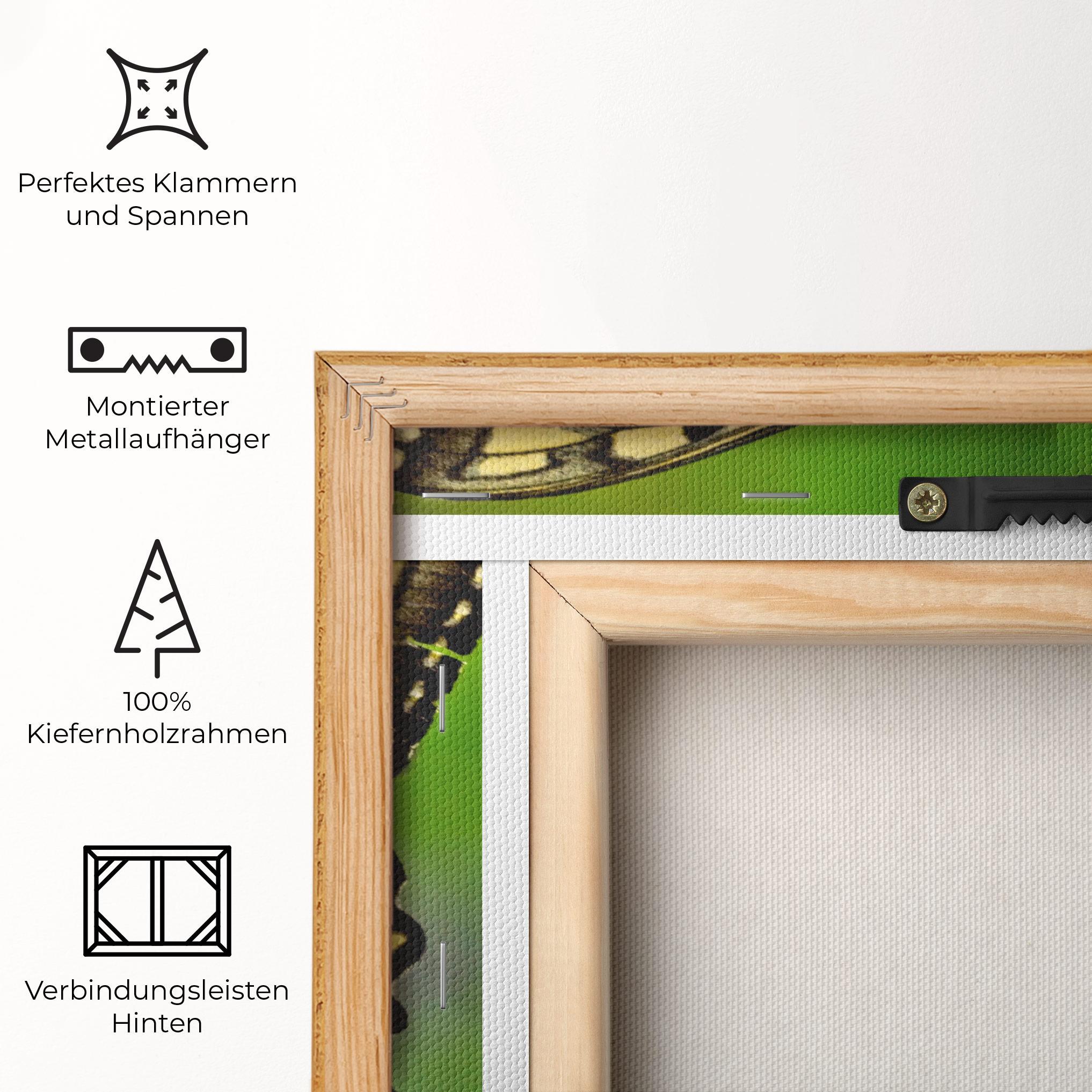 Leinwandbild Cream Wild Butterfly mockup 5