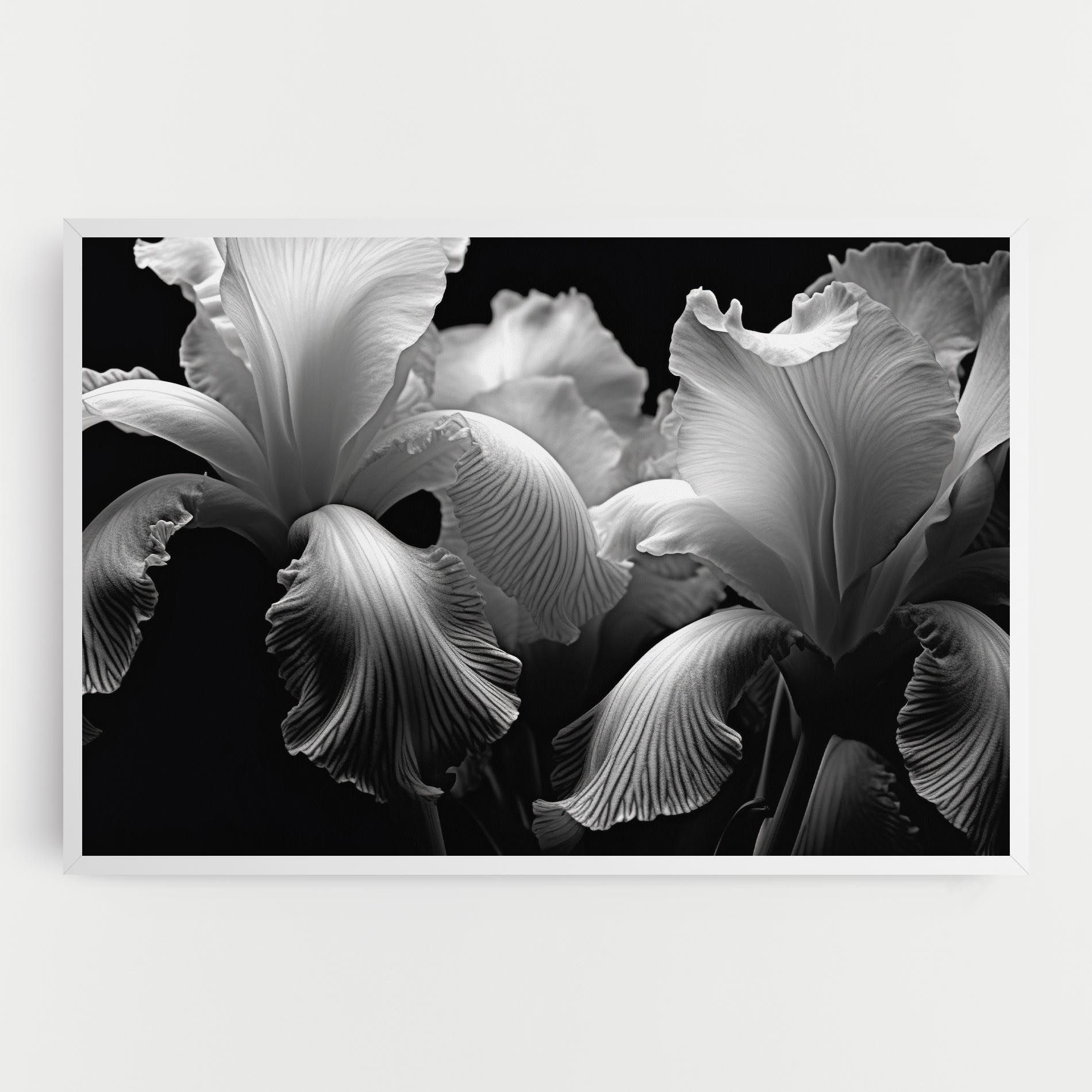 Grey Iris mockup 0