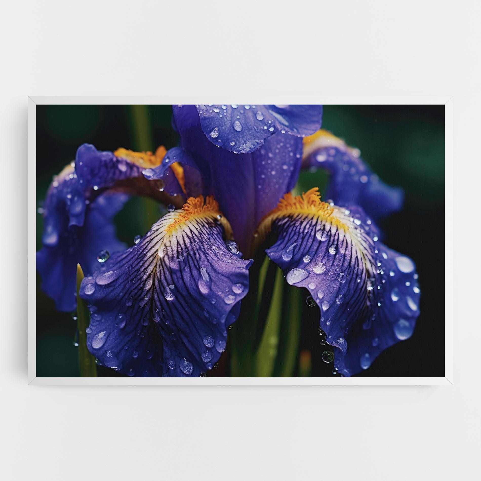 Leinwandbild Iris After Rain mockup 0