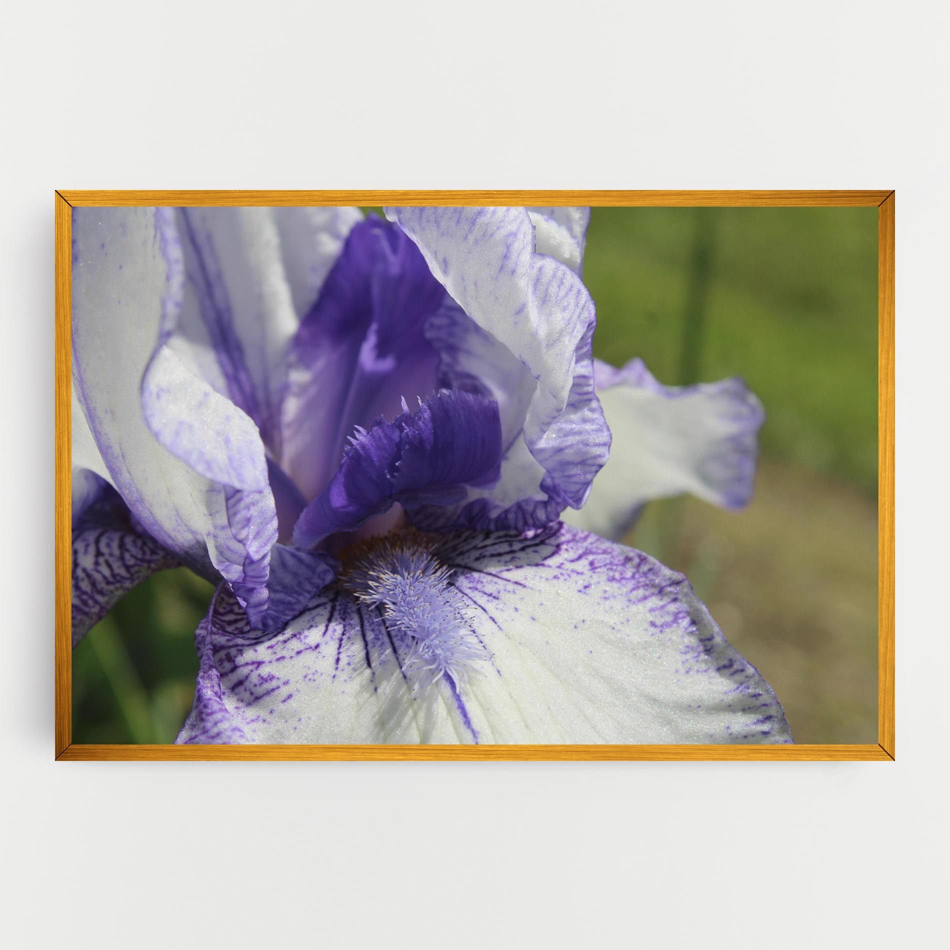 White Purple Iris mockup 0