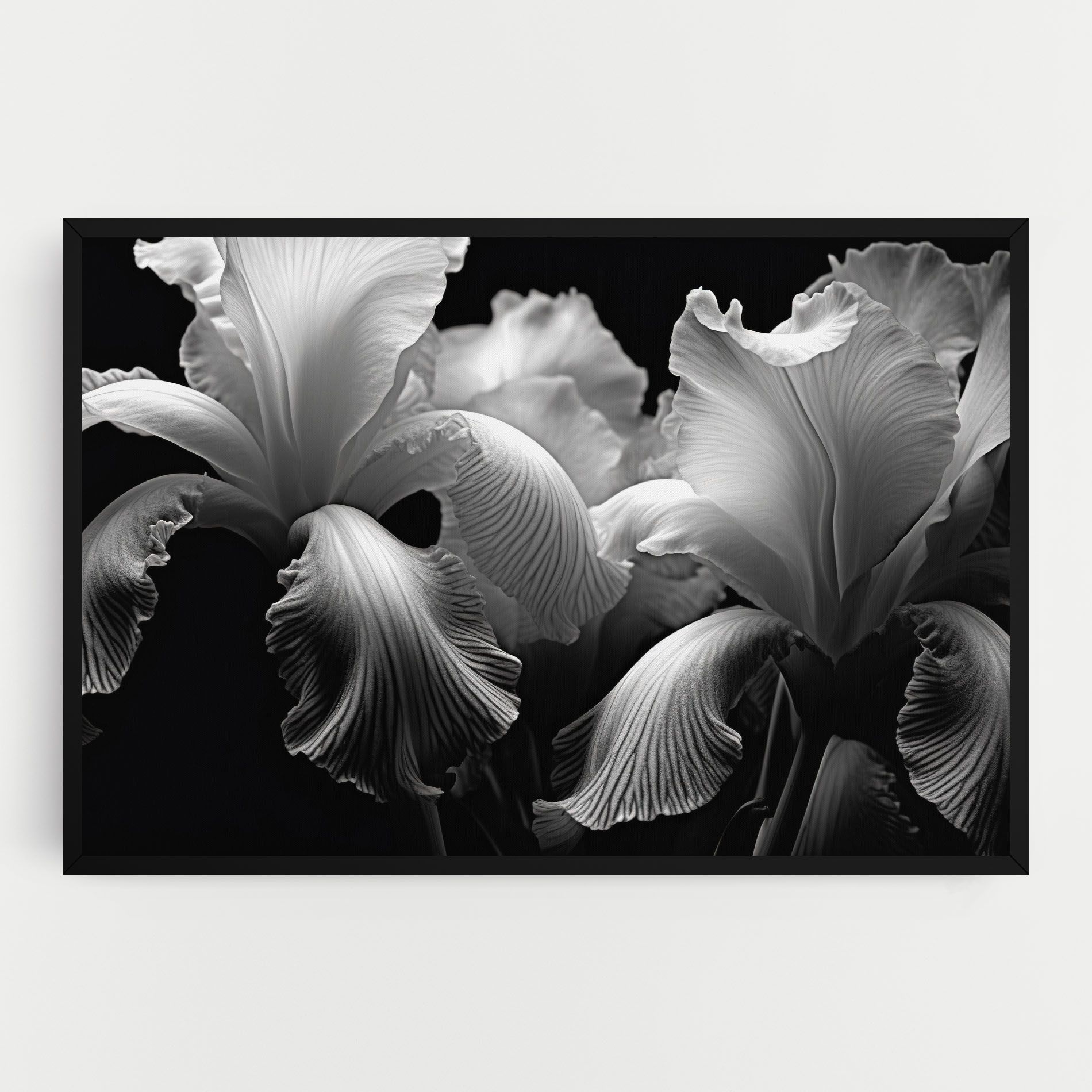 Grey Iris mockup 0