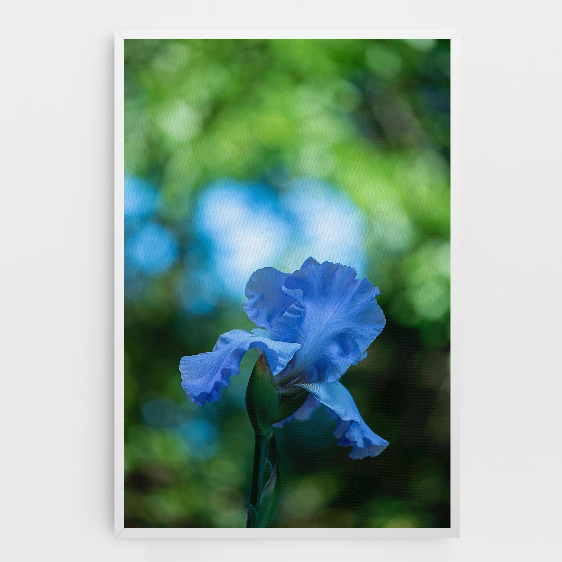 Leinwandbild Blue Iris In The Garden mockup 0