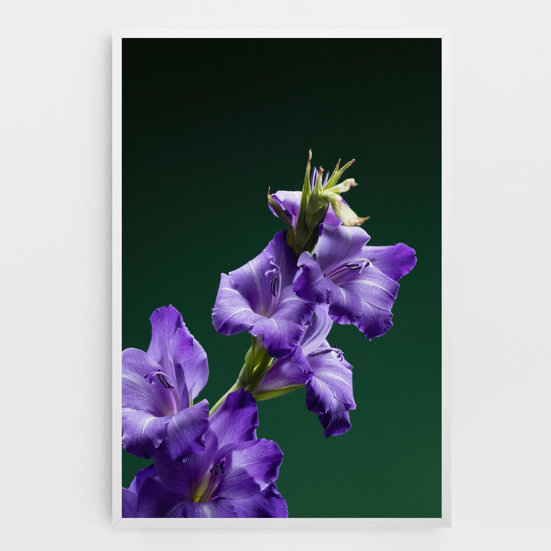 Leinwandbild Iris On Green mockup 0