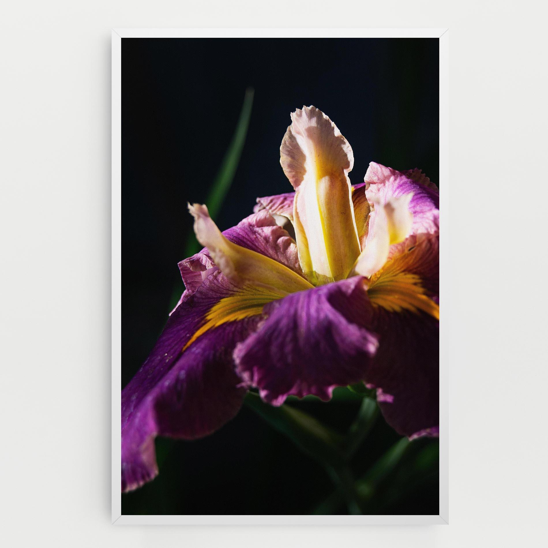 Leinwandbild Pastel Yellow Iris mockup 0