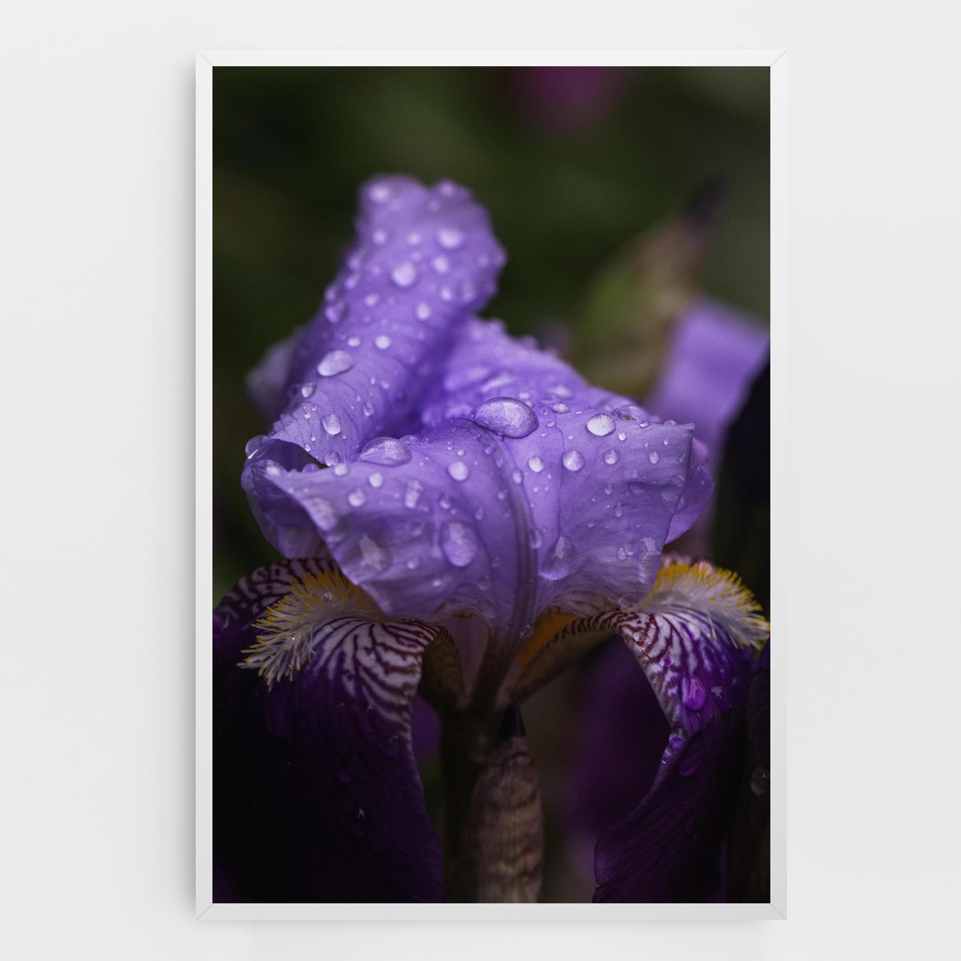 Rain In The Garden mockup 0