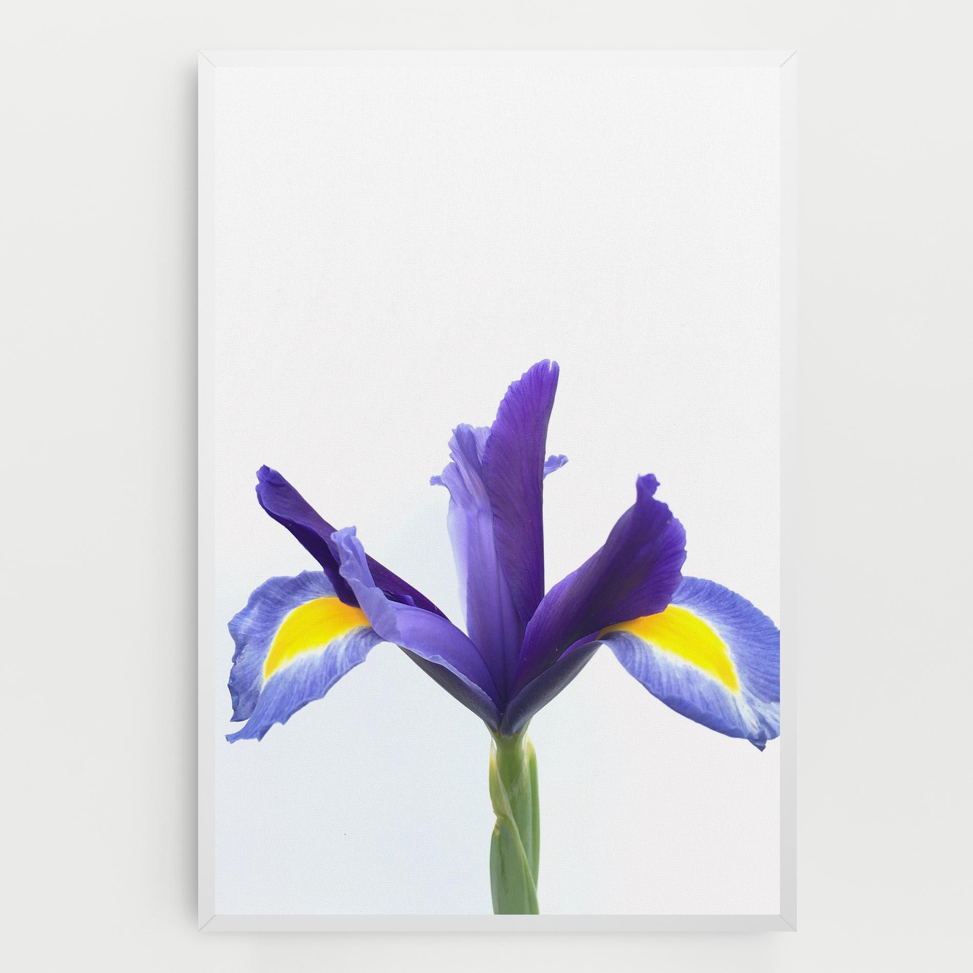 Leinwandbild Yellow Color Iris mockup 0