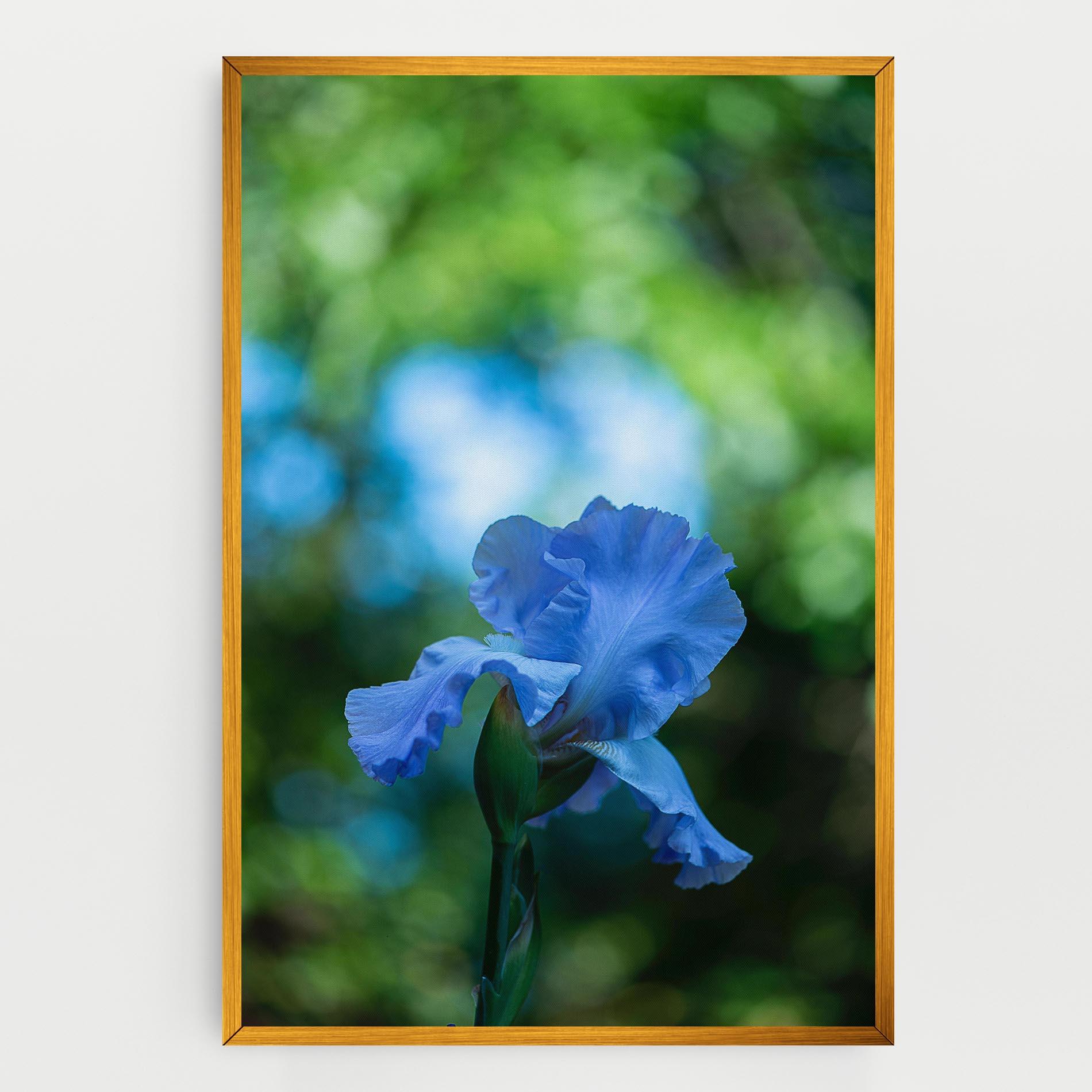 Leinwandbild Blue Iris In The Garden mockup 0