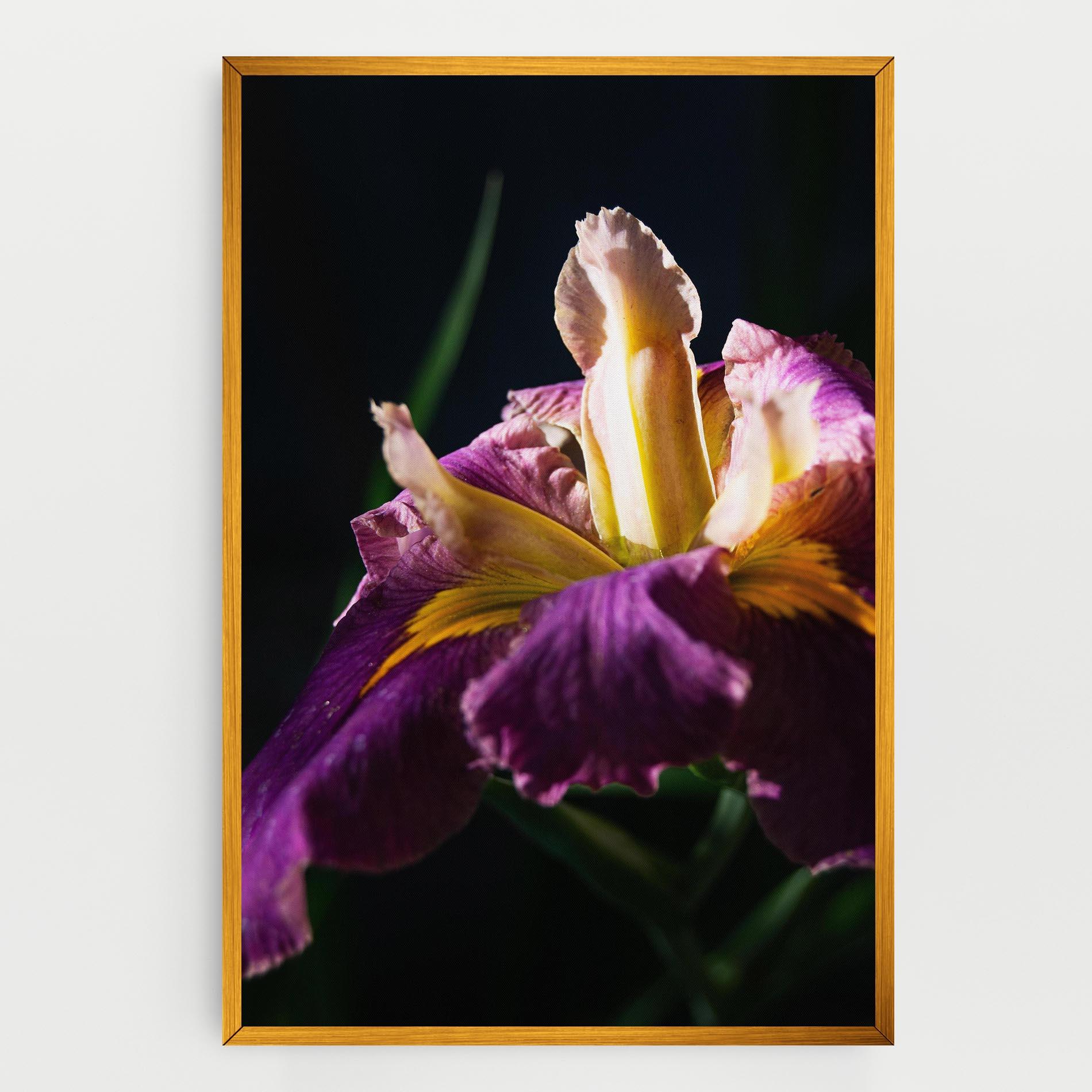 Leinwandbild Pastel Yellow Iris mockup 0