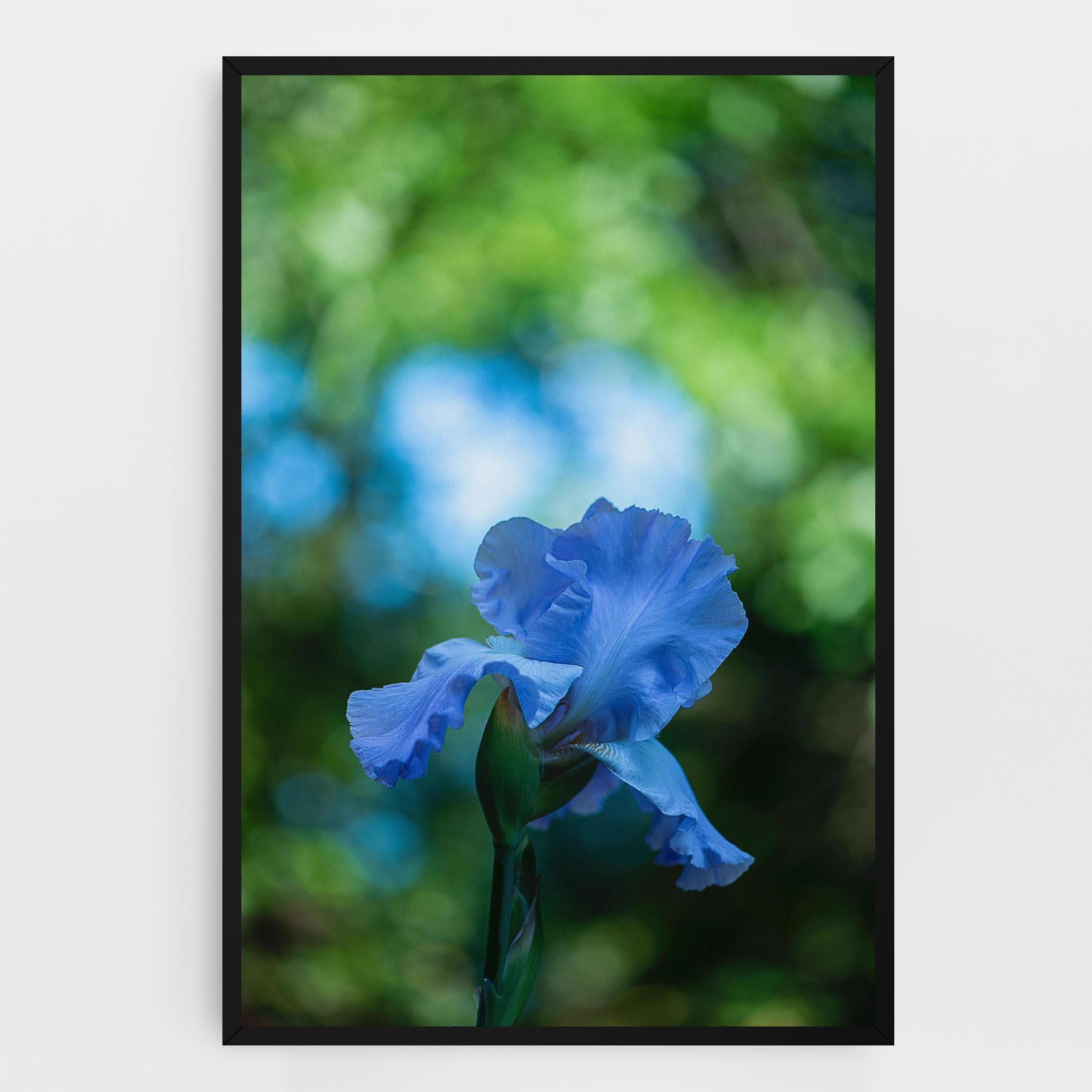 Leinwandbild Blue Iris In The Garden mockup 0