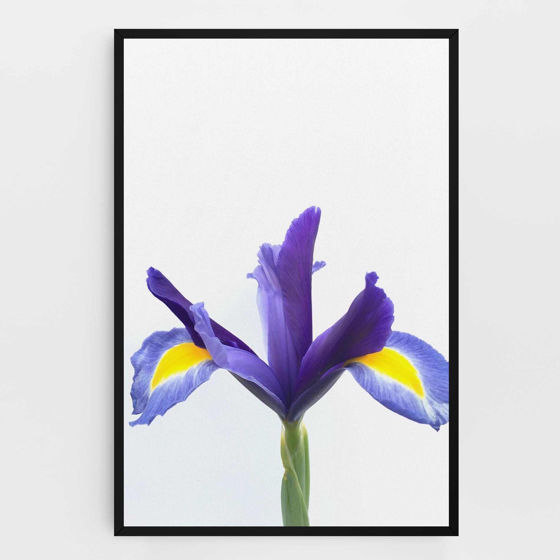 Leinwandbild Yellow Color Iris mockup 0