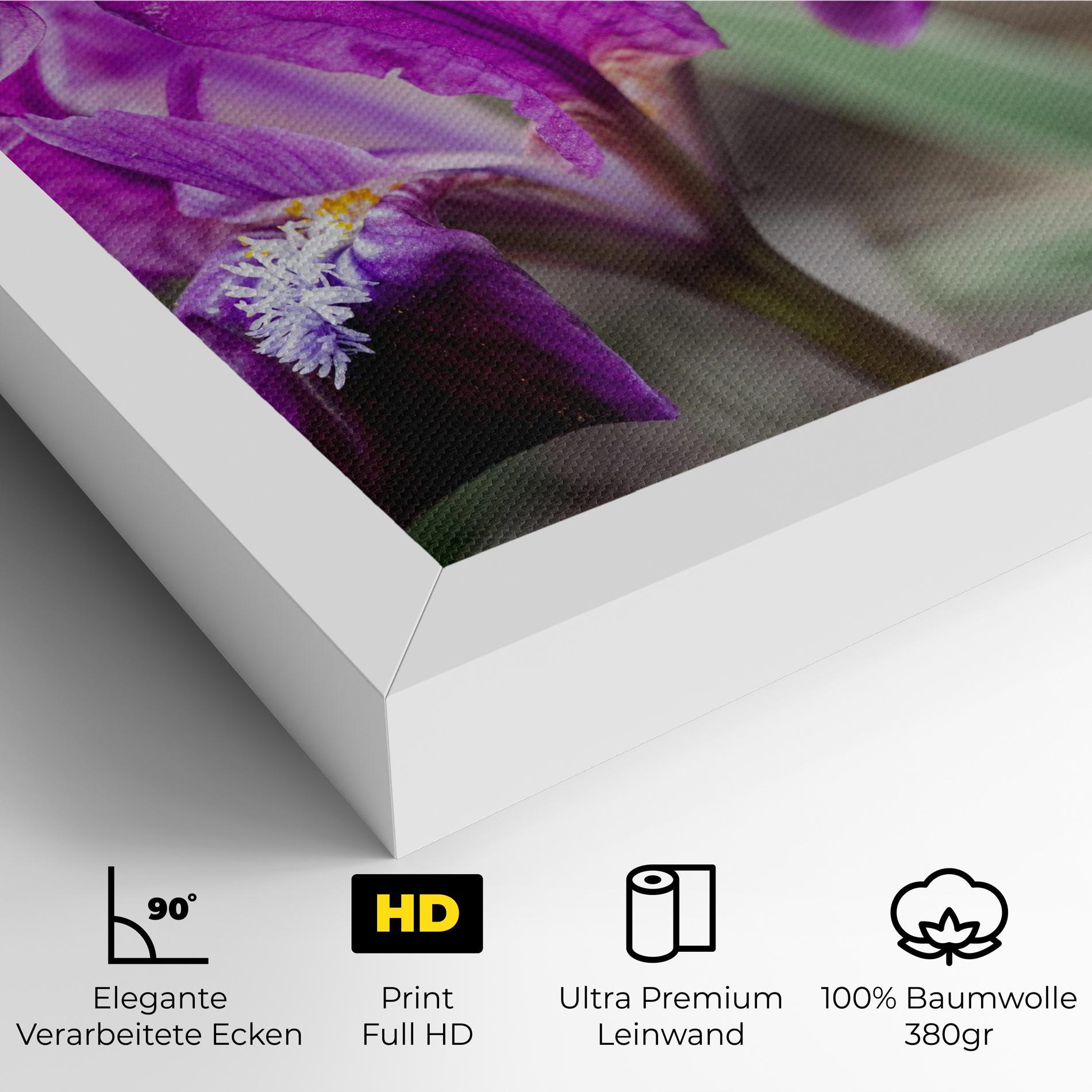 Leinwandbild Dark Pink Iris mockup 4