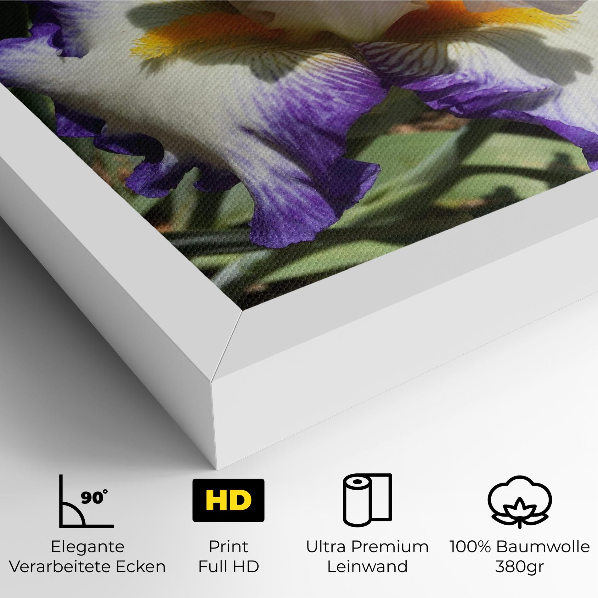 Garden White Purple Irirs mockup 4