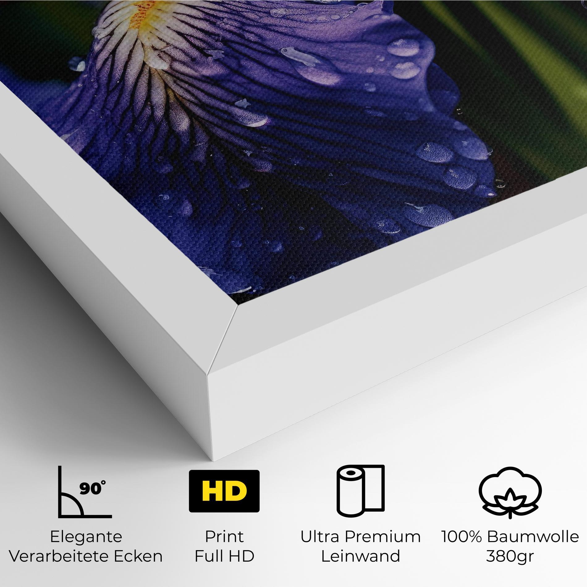 Leinwandbild Iris After Rain mockup 4
