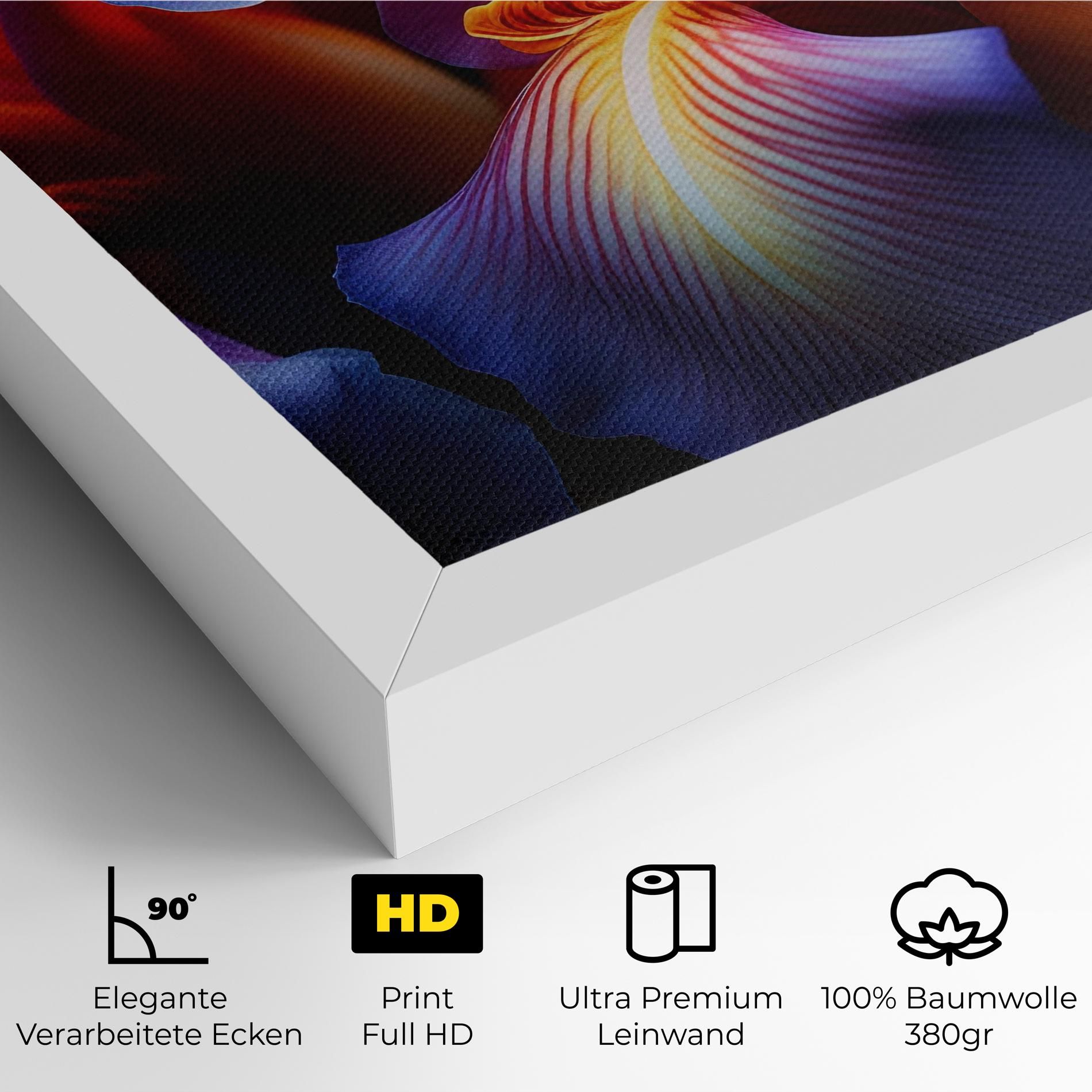 Orange Purple Iris mockup 4