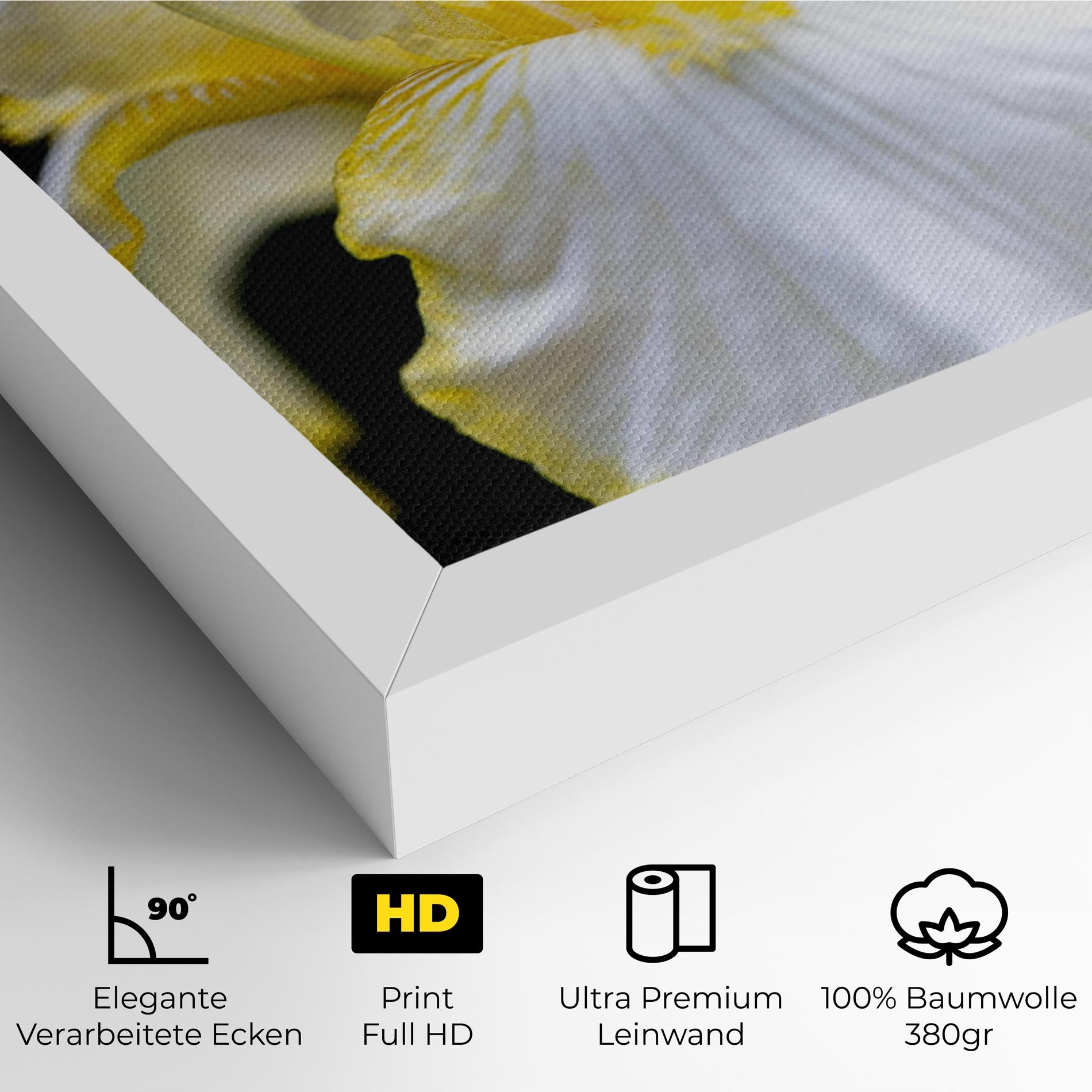 White Yellow Iris mockup 4