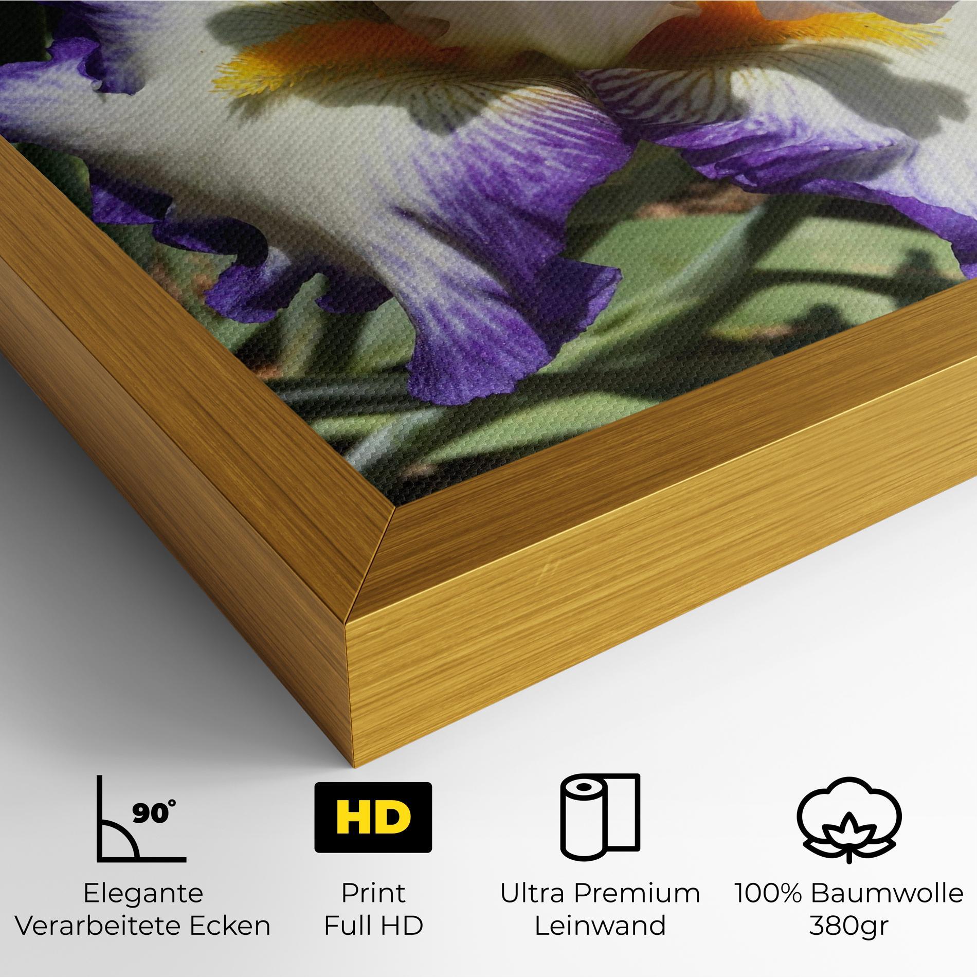 Leinwandbild Garden White Purple Irirs mockup 4