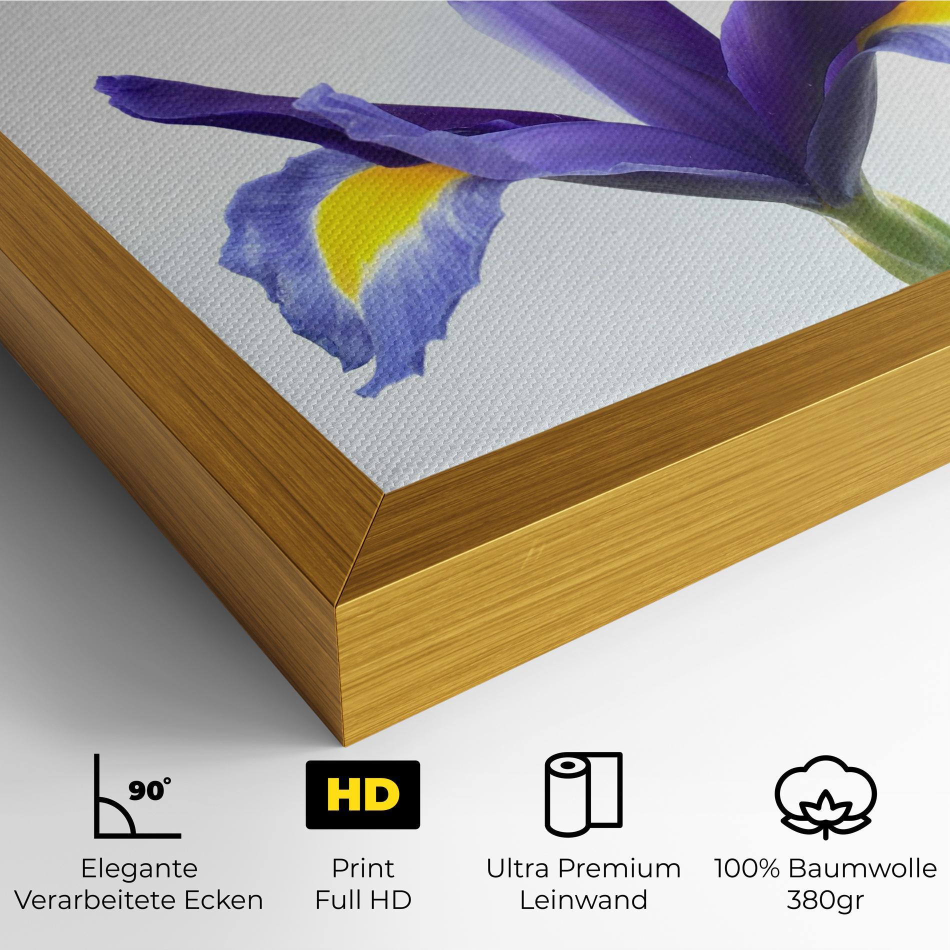 Leinwandbild Yellow Color Iris mockup 4