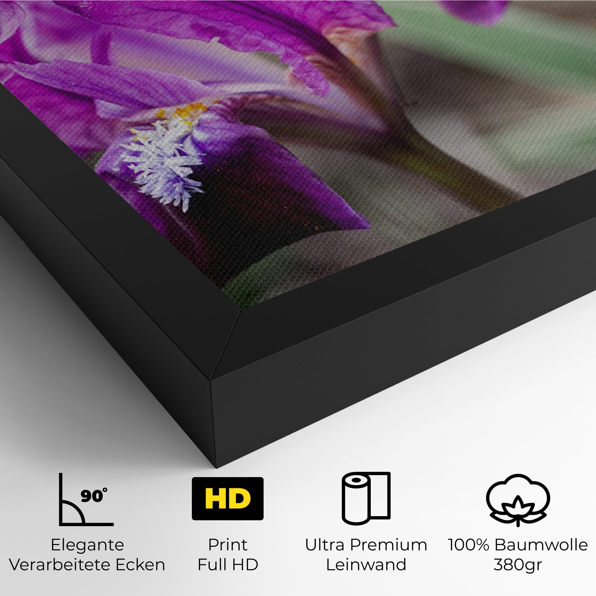 Dark Pink Iris mockup 4