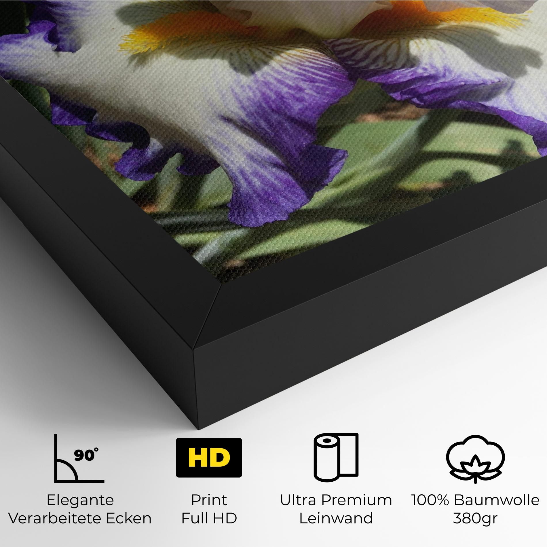 Garden White Purple Irirs mockup 4