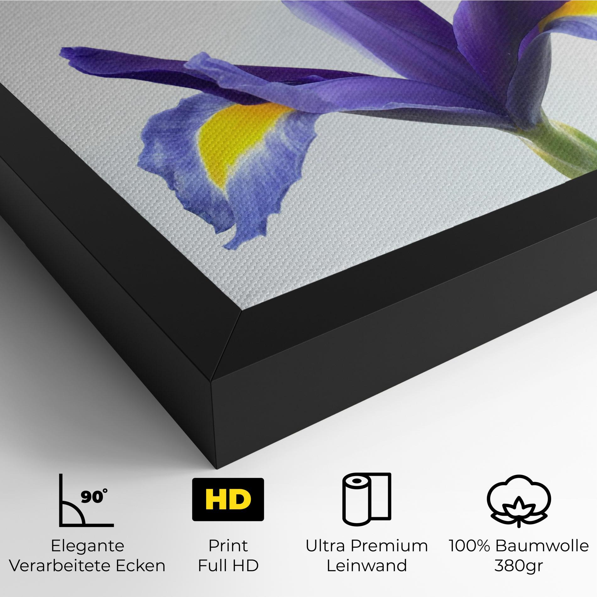 Leinwandbild Yellow Color Iris mockup 4