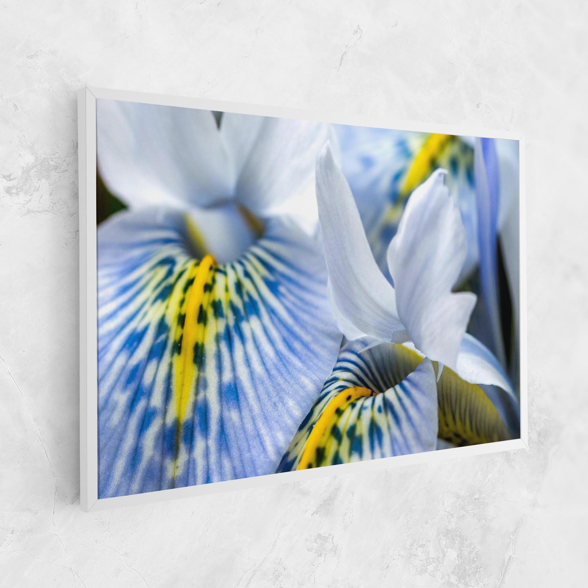 Leinwandbild Blue Yellow Iris mockup 1