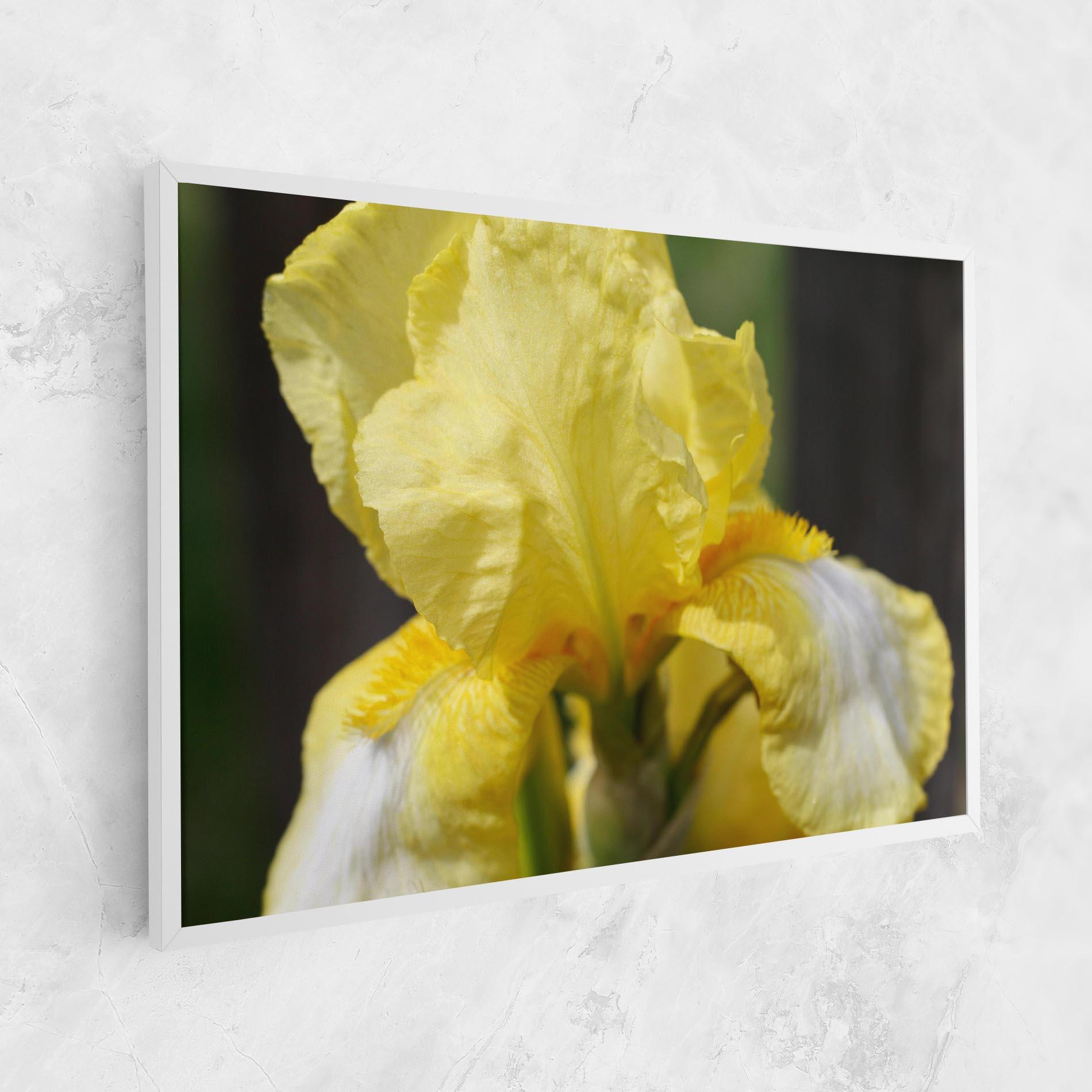 Leinwandbild Garden Yellow Iris mockup 1