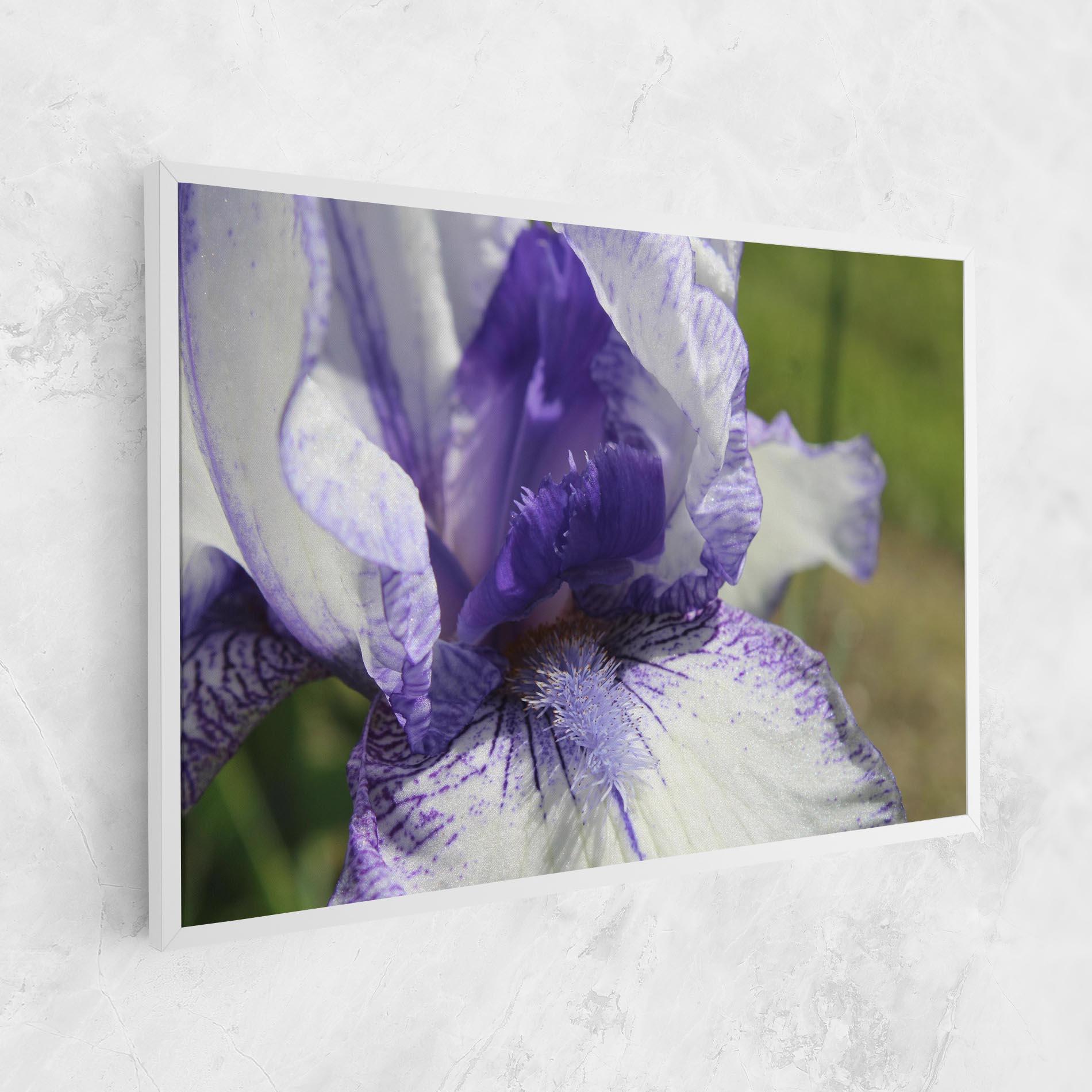 Leinwandbild White Purple Iris mockup 1