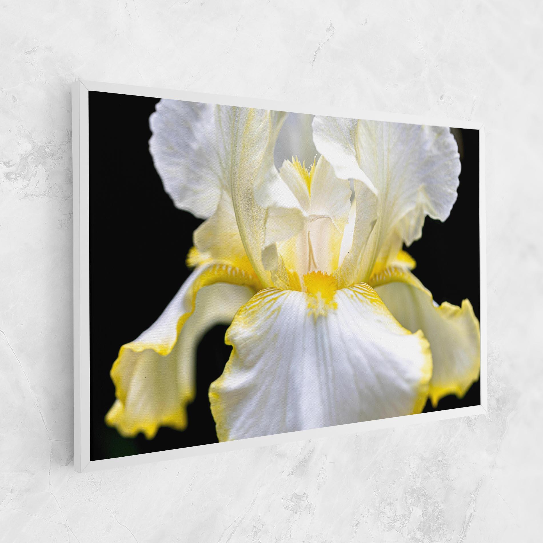 Leinwandbild White Yellow Iris mockup 1