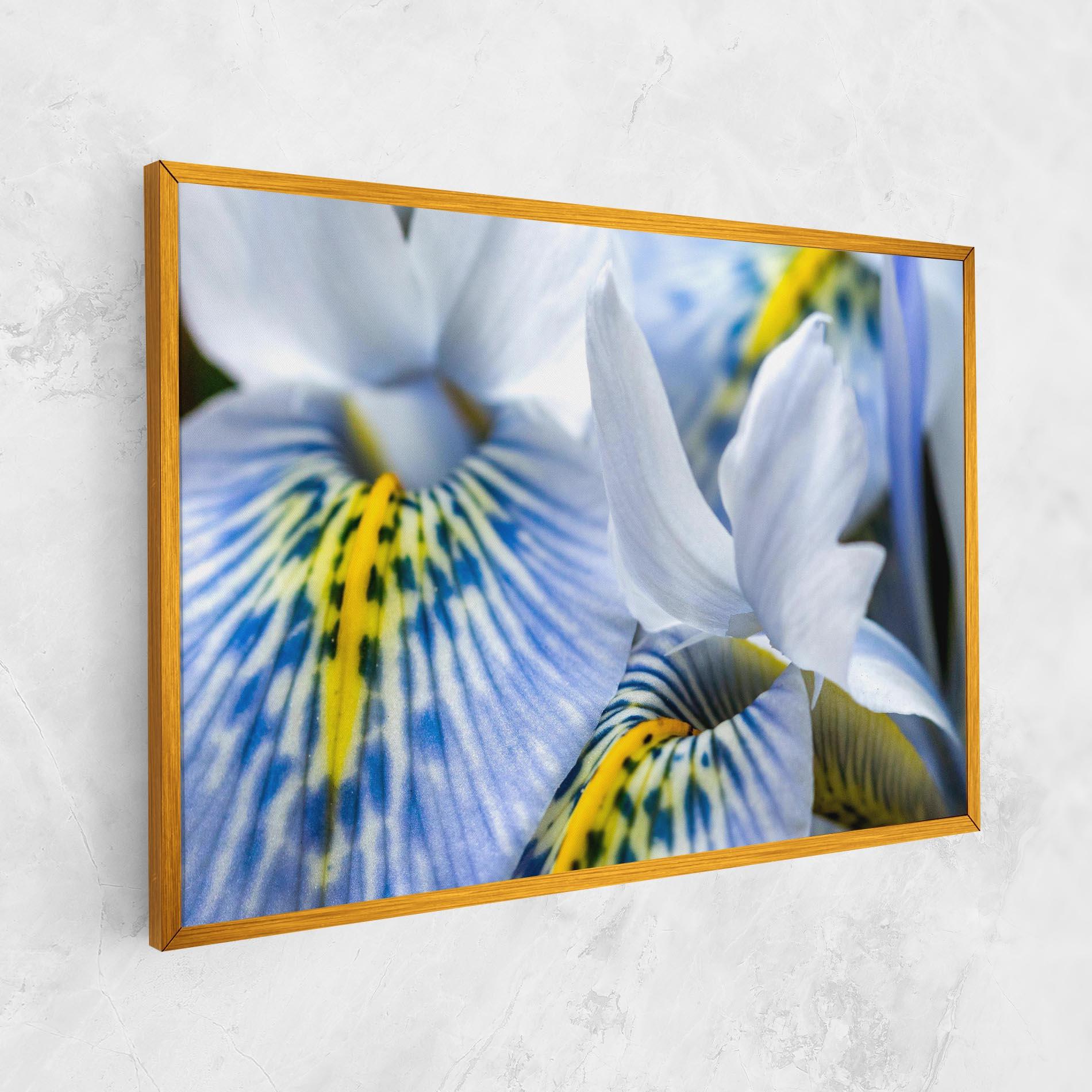 Leinwandbild Blue Yellow Iris mockup 1