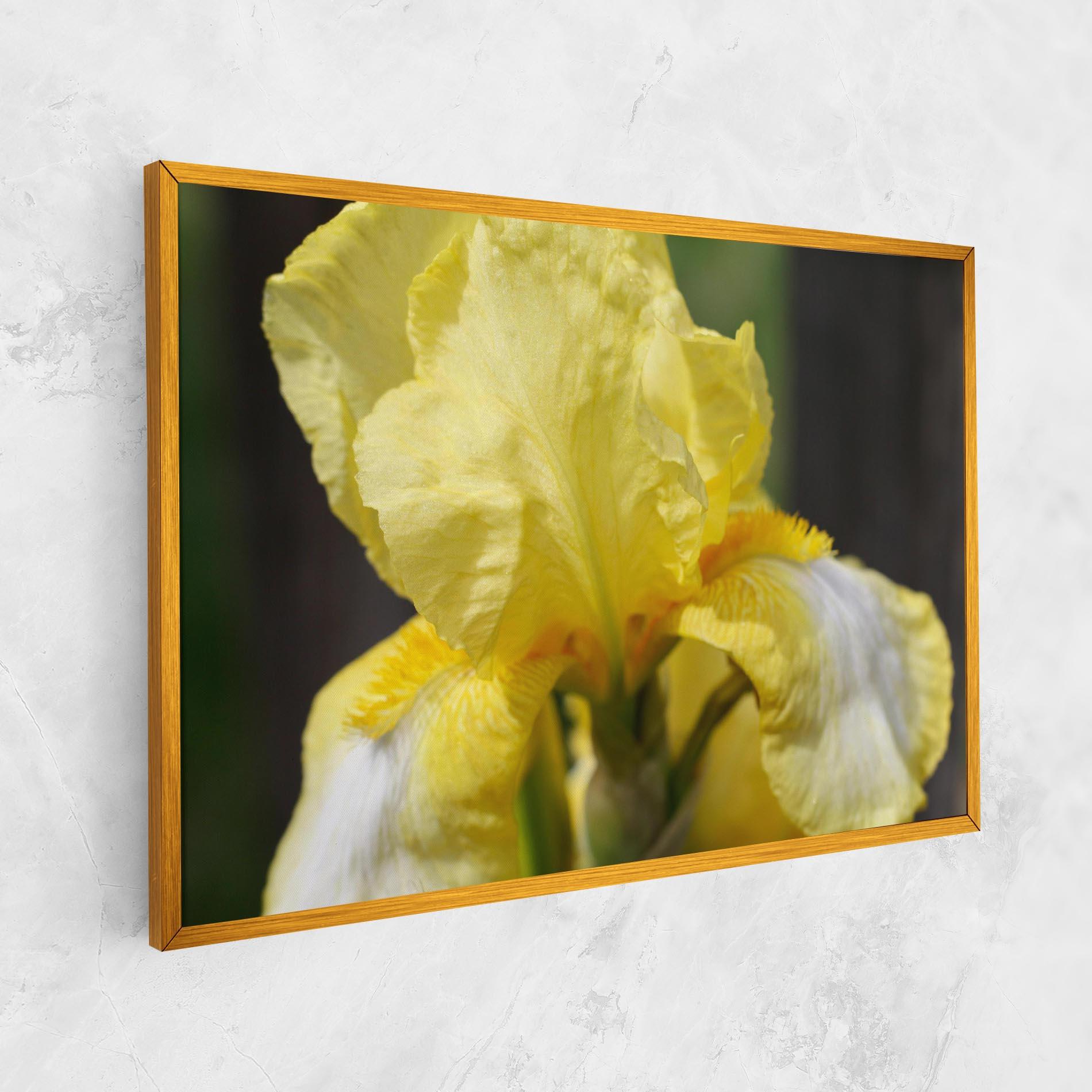 Leinwandbild Garden Yellow Iris mockup 1