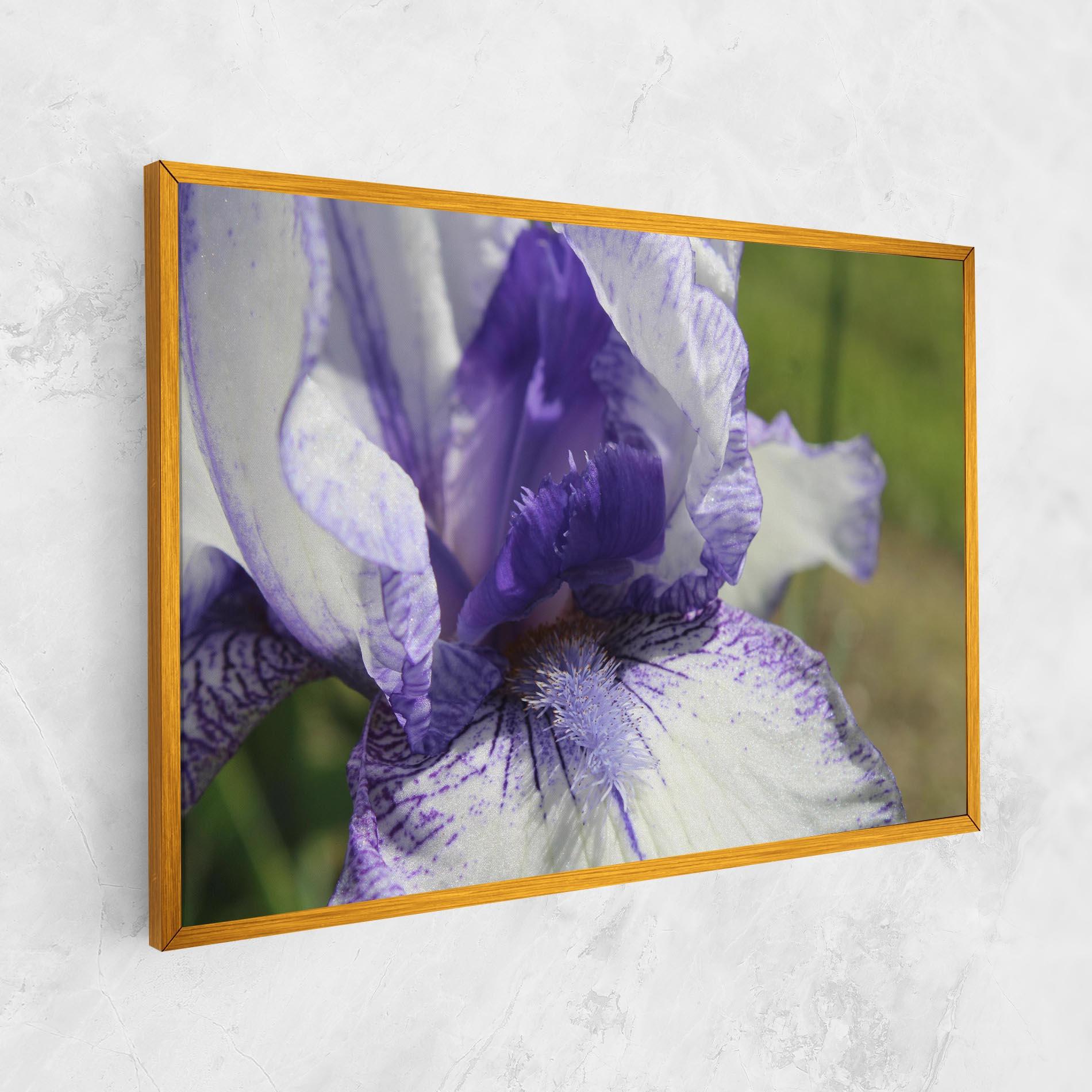 Leinwandbild White Purple Iris mockup 1