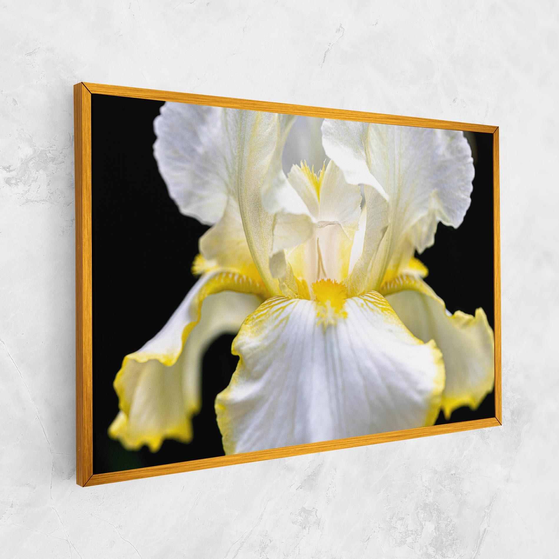Leinwandbild White Yellow Iris mockup 1