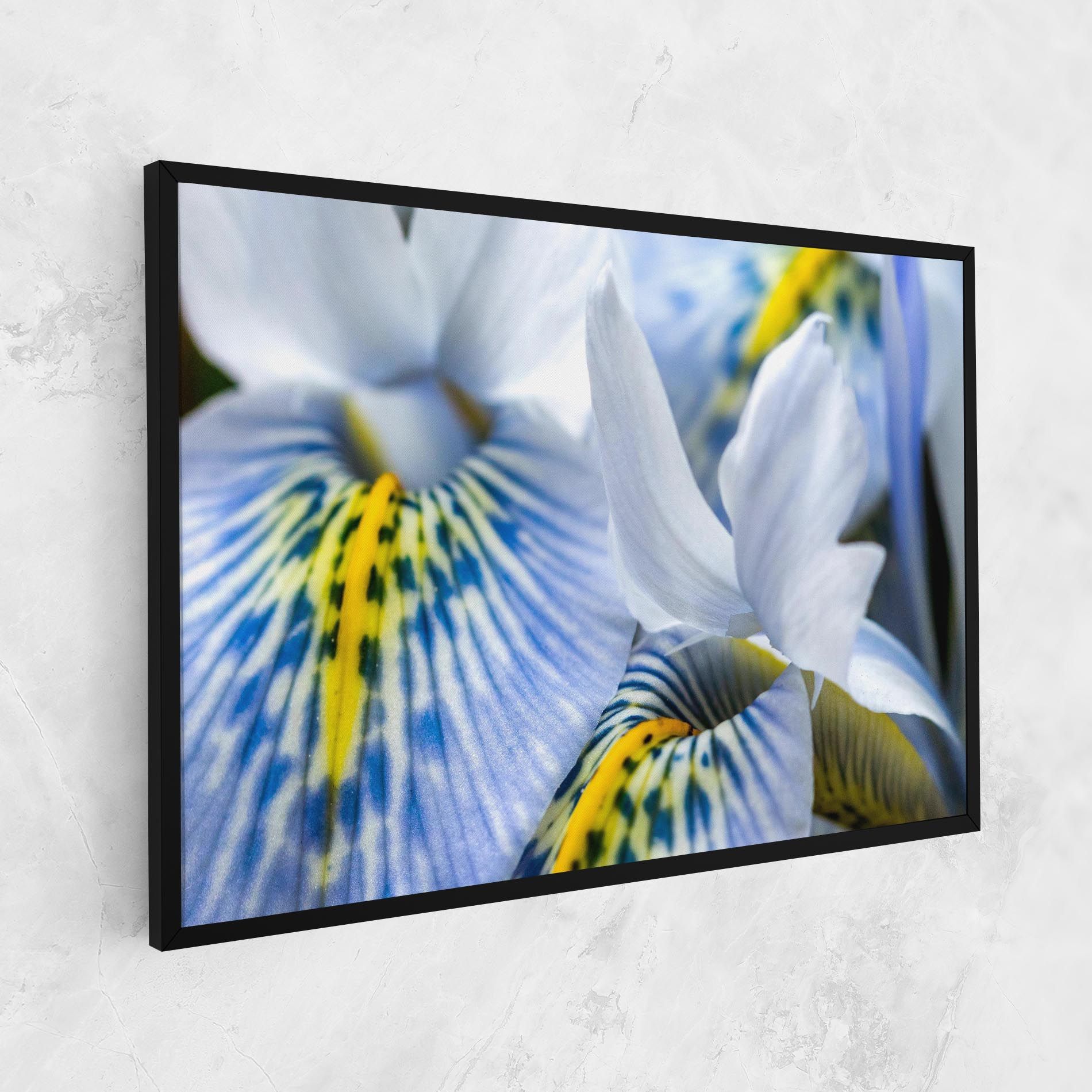 Blue Yellow Iris mockup 1