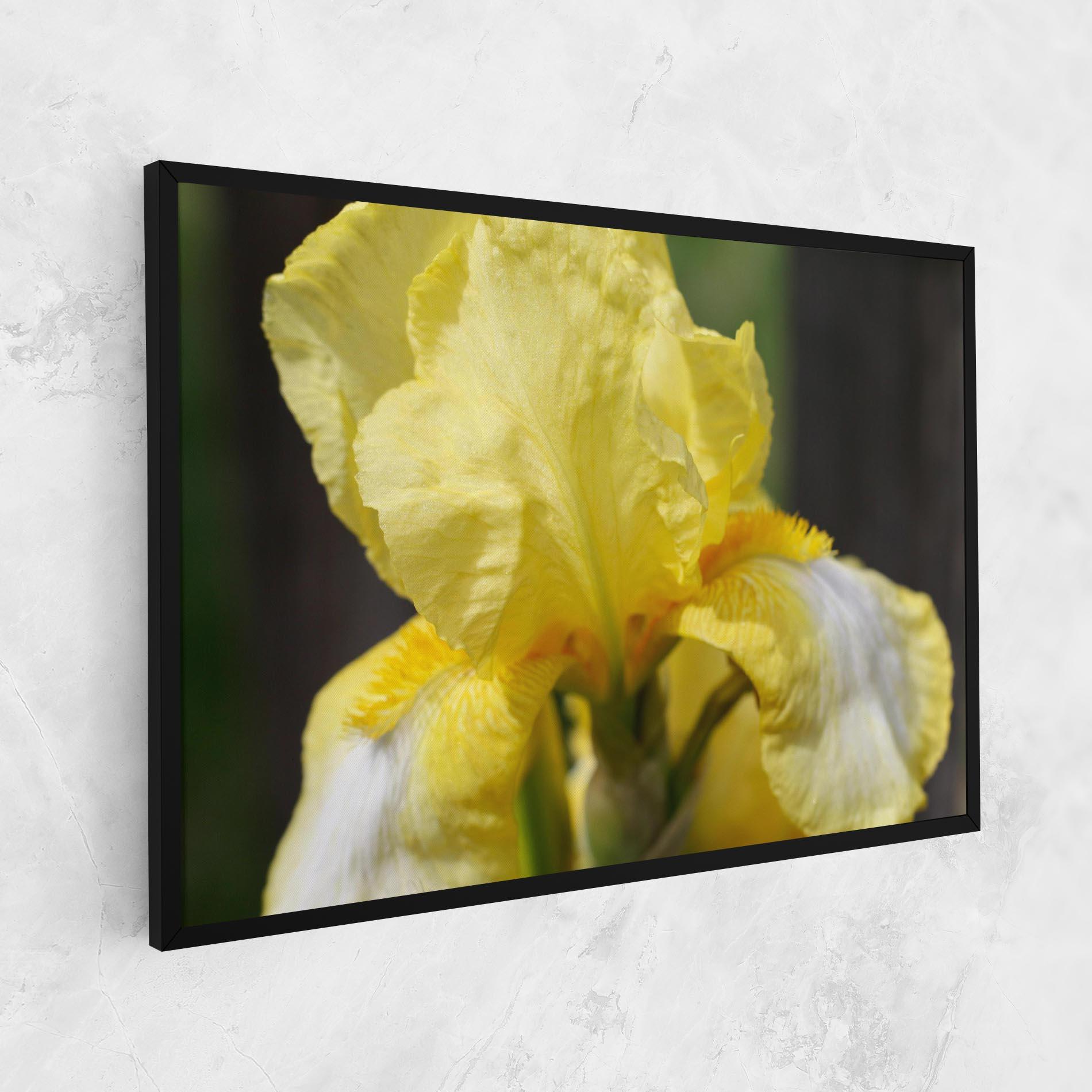 Leinwandbild Garden Yellow Iris mockup 1
