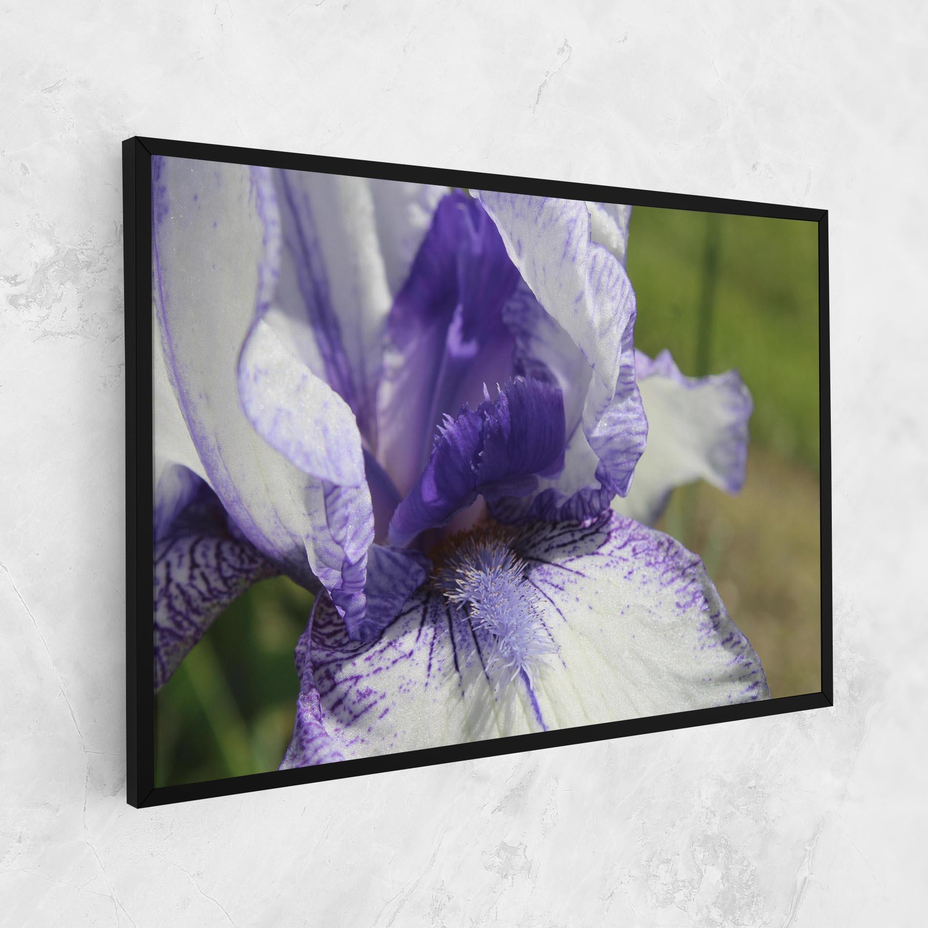 Leinwandbild White Purple Iris mockup 1