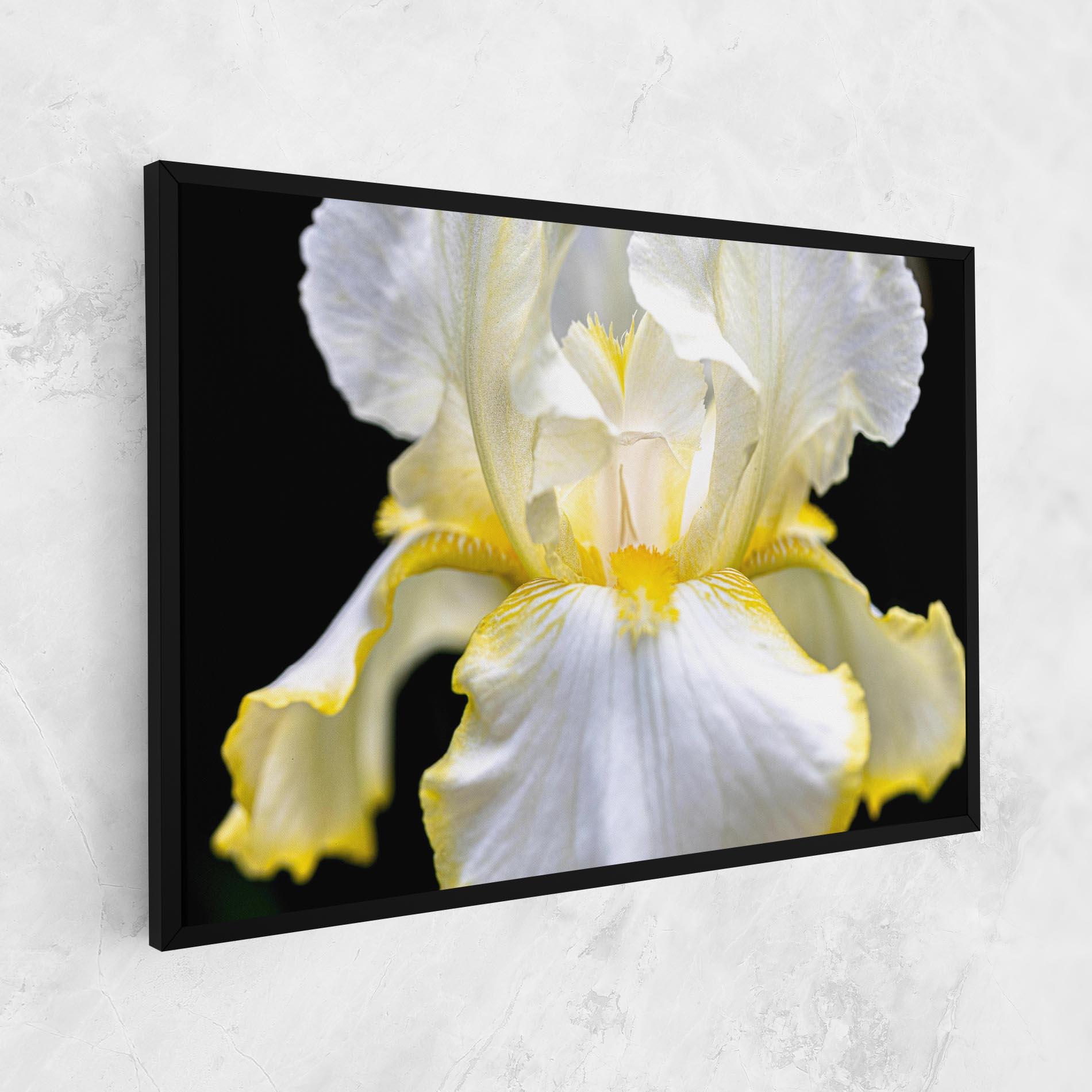 Leinwandbild White Yellow Iris mockup 1