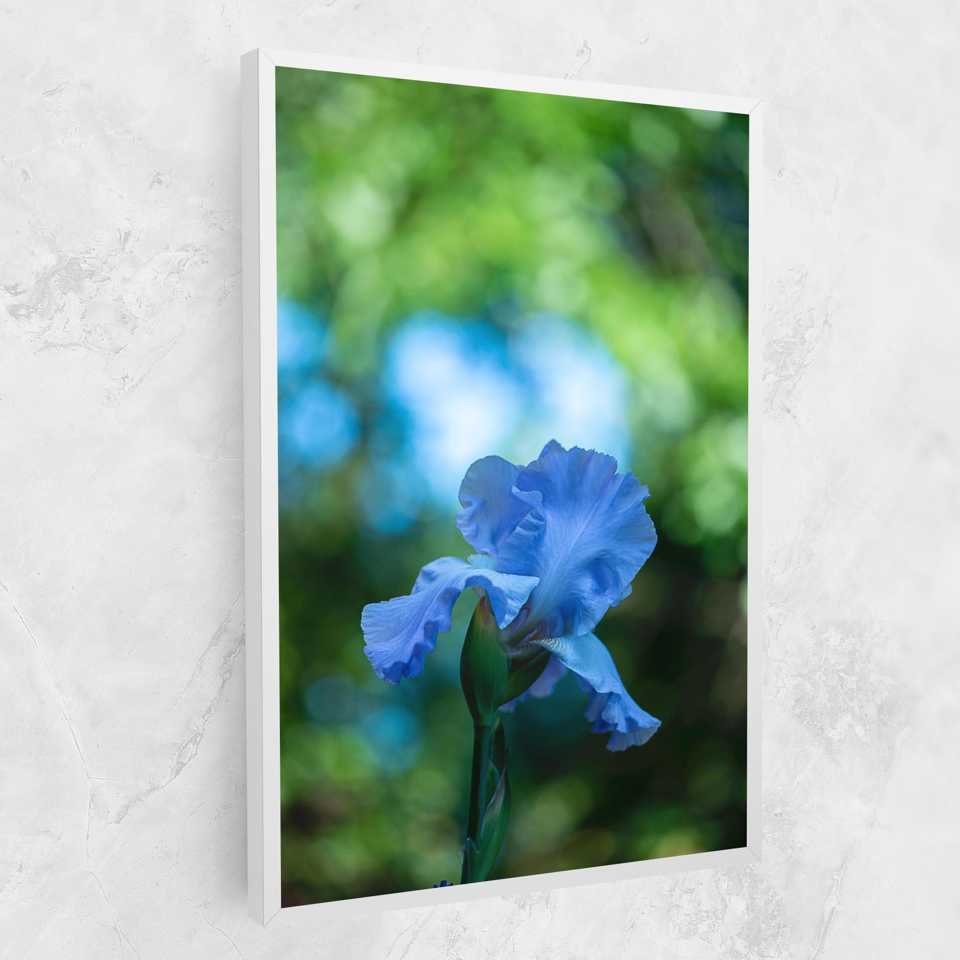 Leinwandbild Blue Iris In The Garden mockup 1