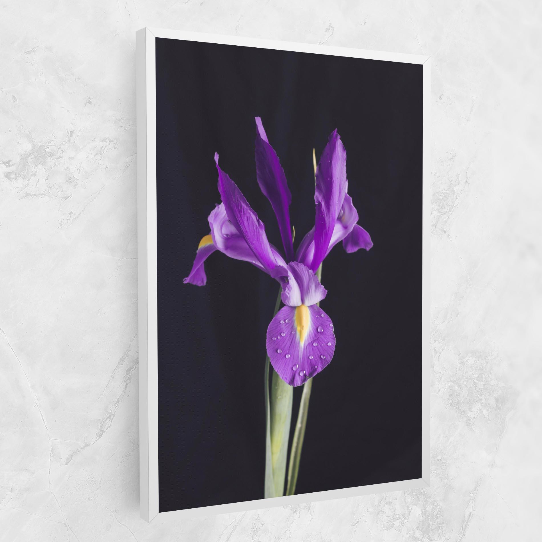 Leinwandbild Fresh Purple Iris mockup 1