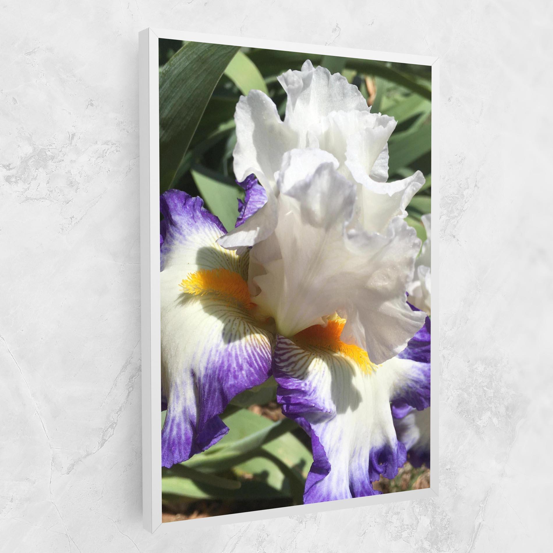 Leinwandbild Garden White Purple Irirs mockup 1