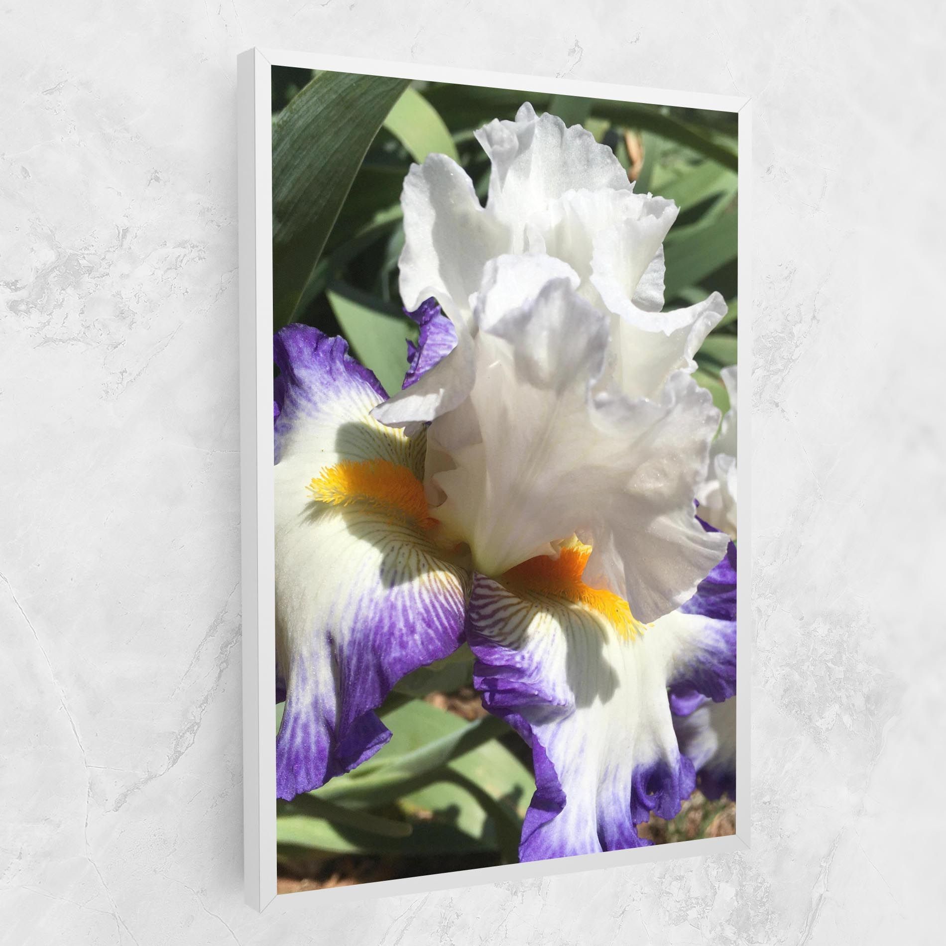 Garden White Purple Irirs mockup 1