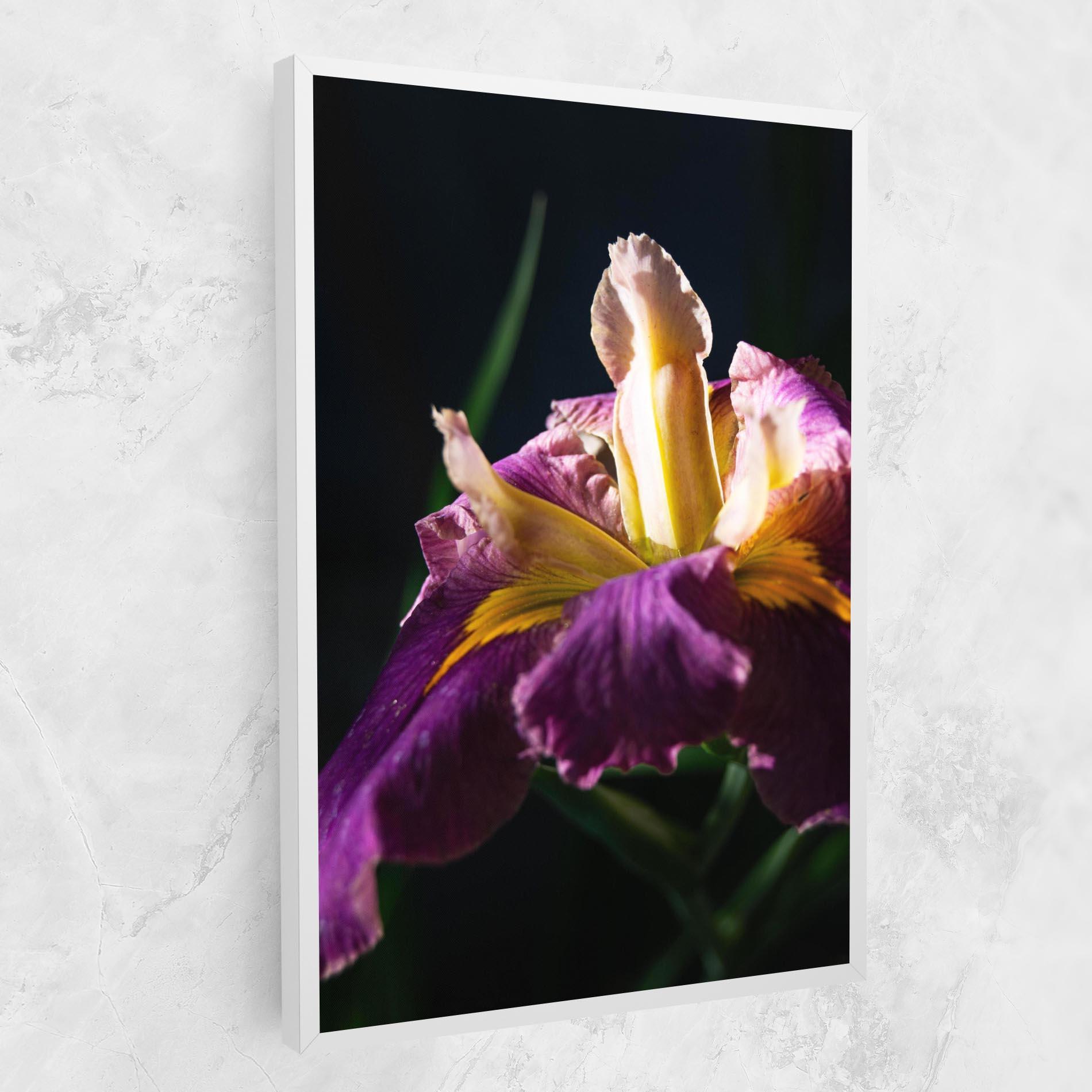 Leinwandbild Pastel Yellow Iris mockup 1