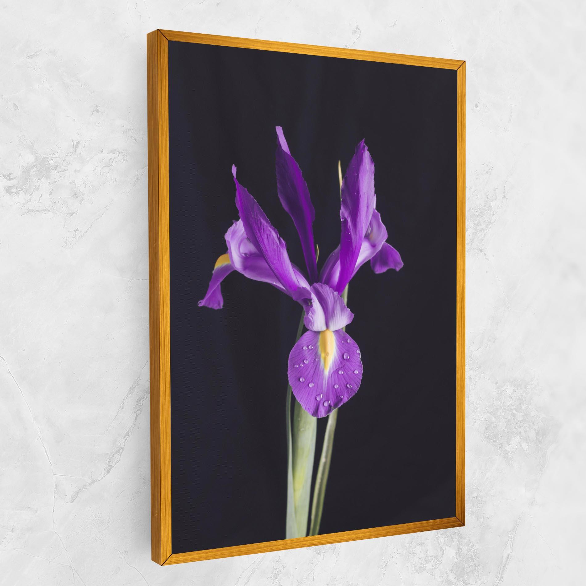 Leinwandbild Fresh Purple Iris mockup 1