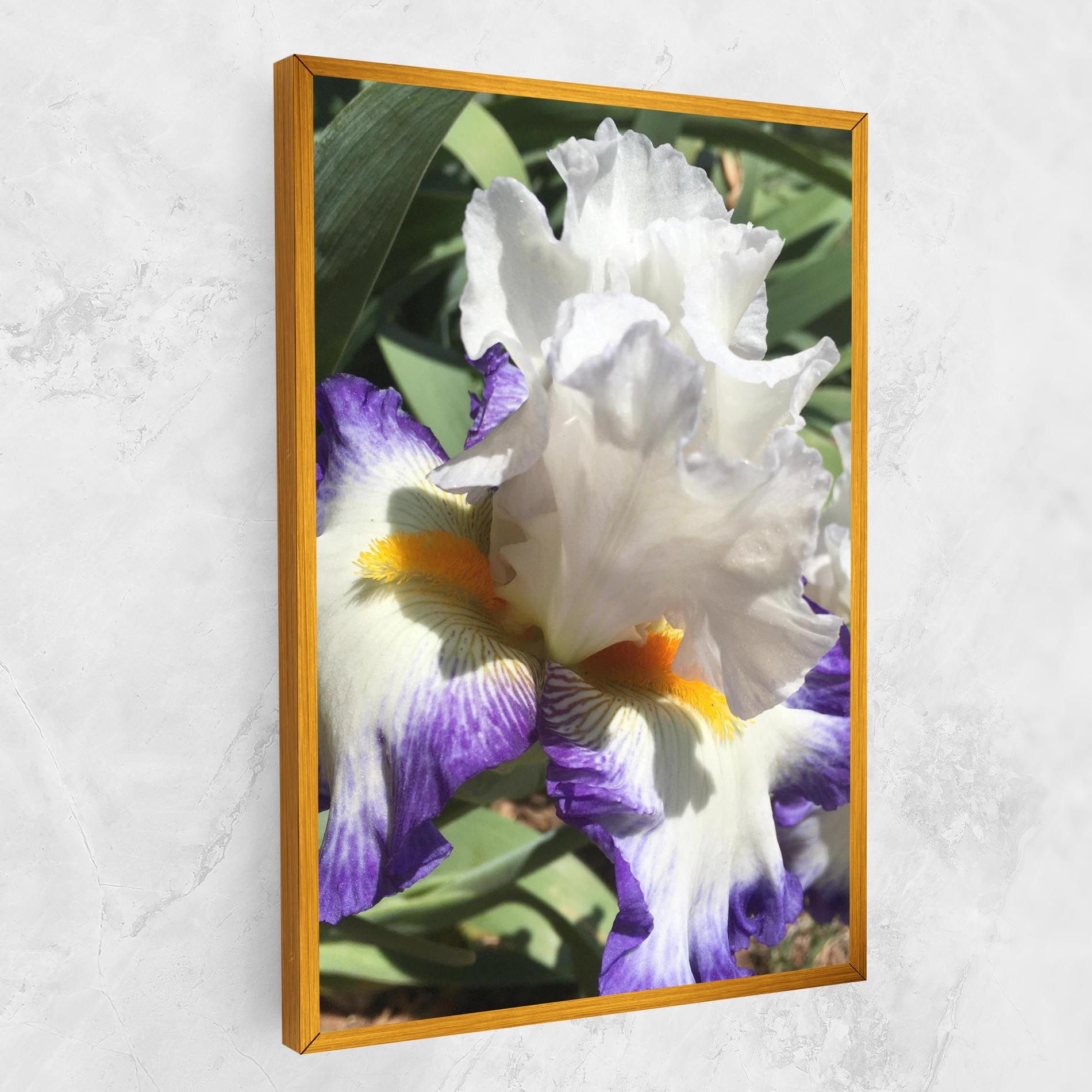 Garden White Purple Irirs mockup 1