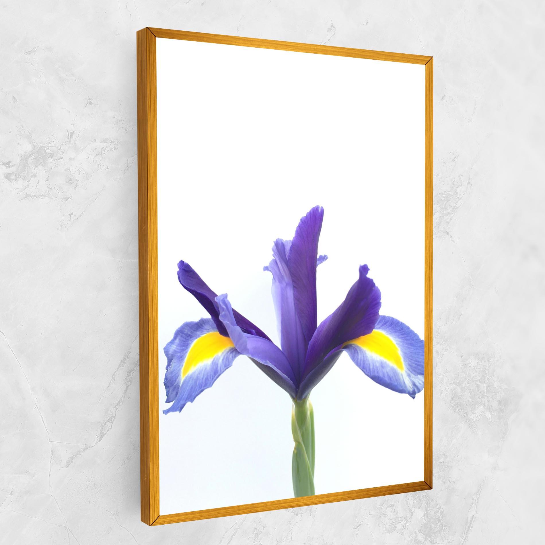 Leinwandbild Yellow Color Iris mockup 1