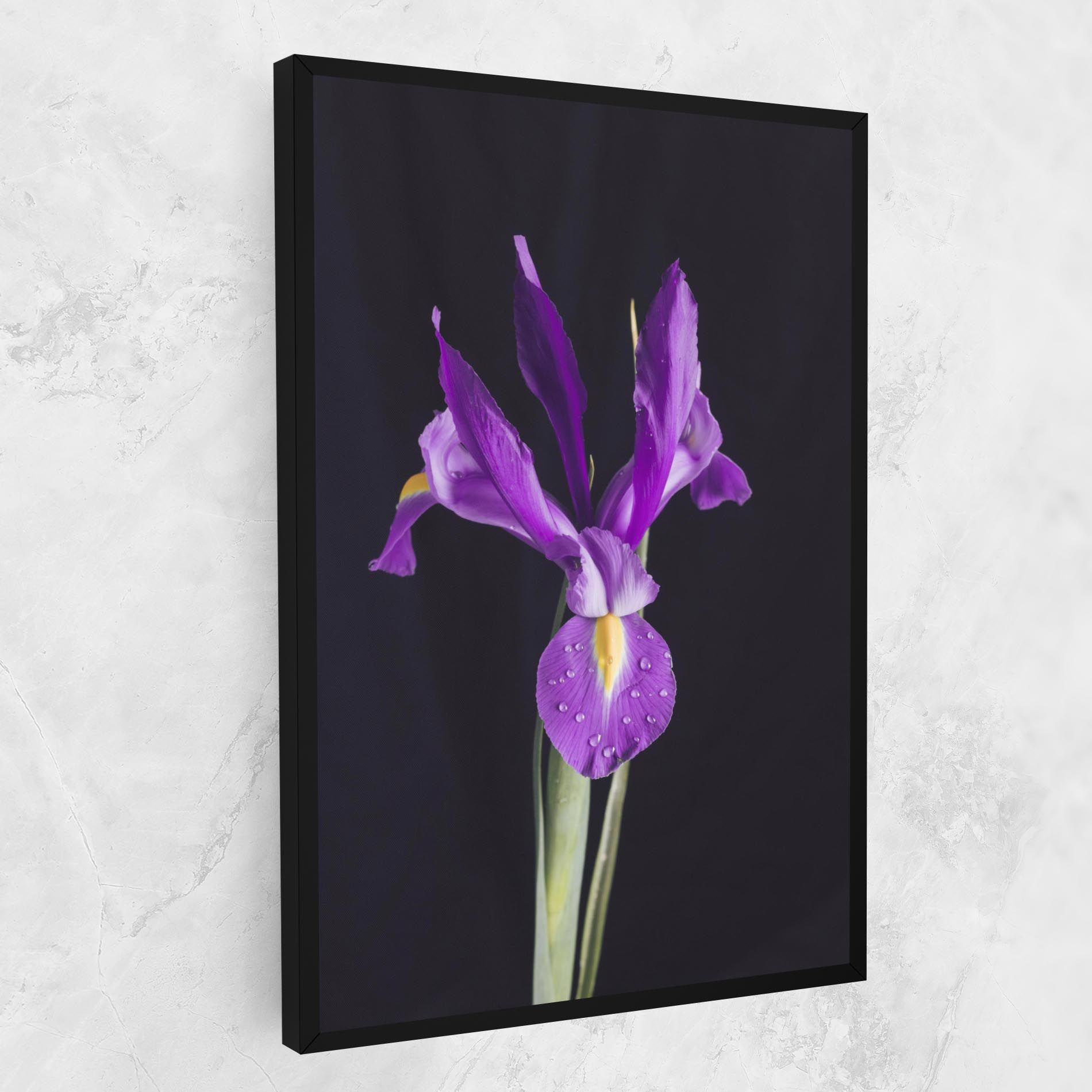 Fresh Purple Iris mockup 1