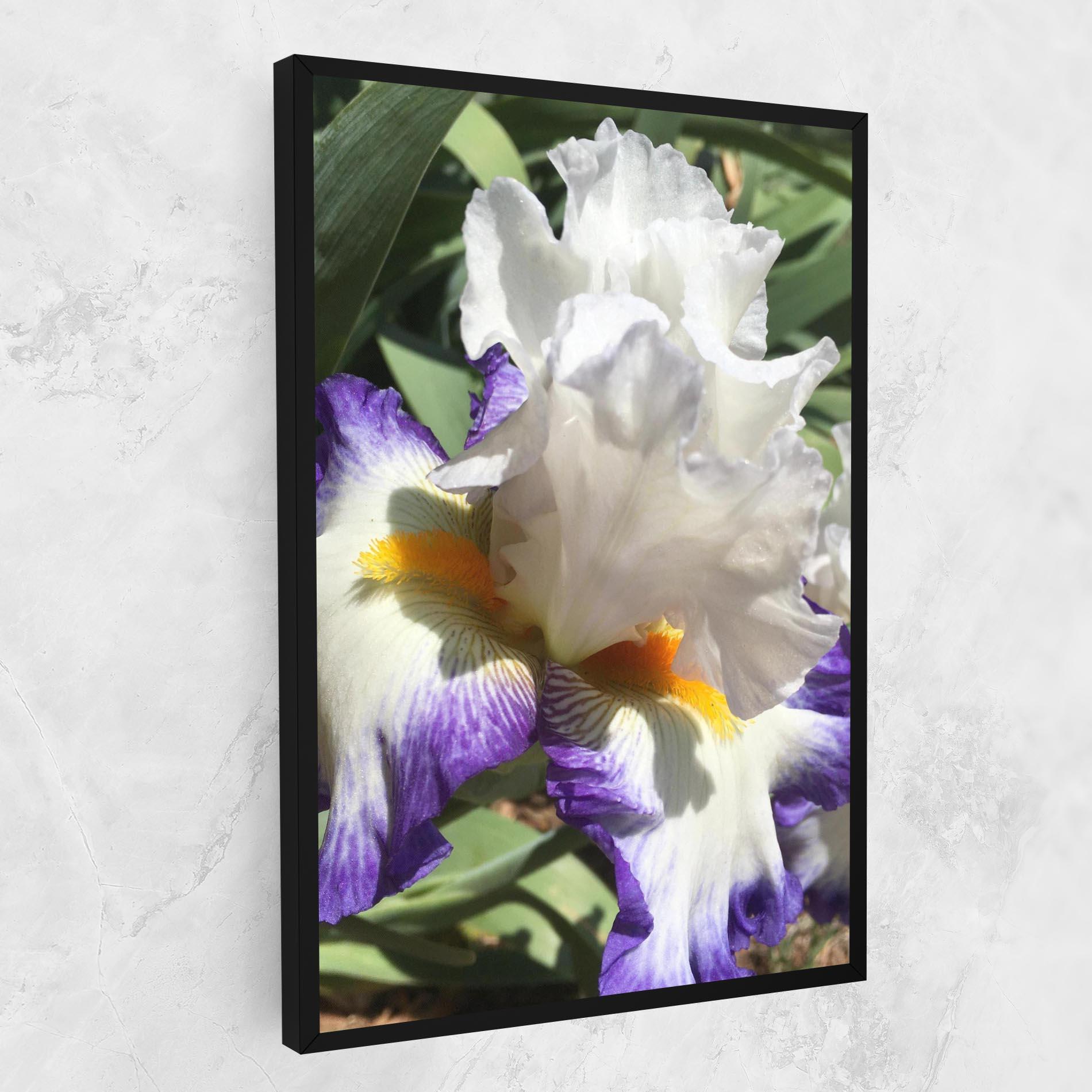 Leinwandbild Garden White Purple Irirs mockup 1