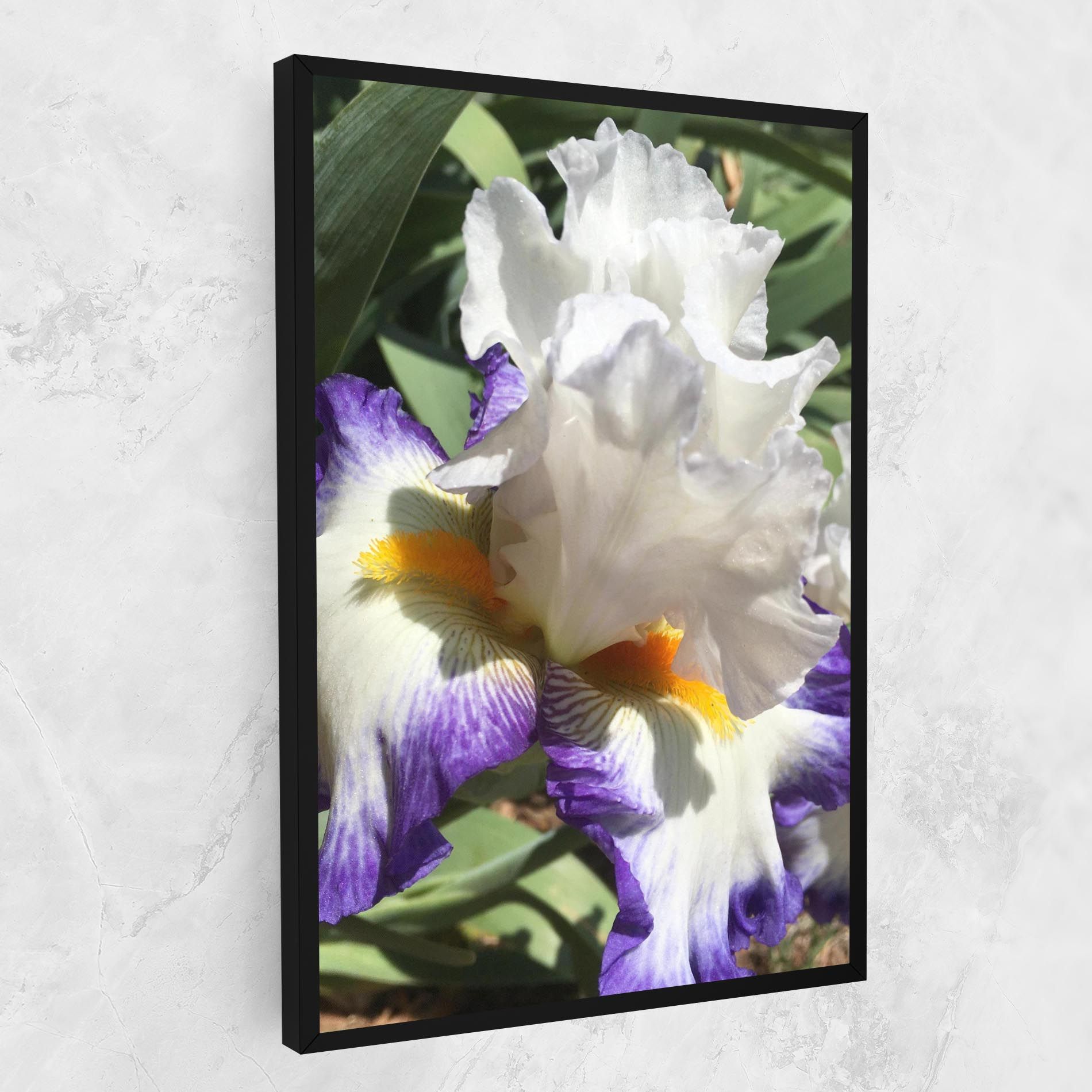 Garden White Purple Irirs mockup 1